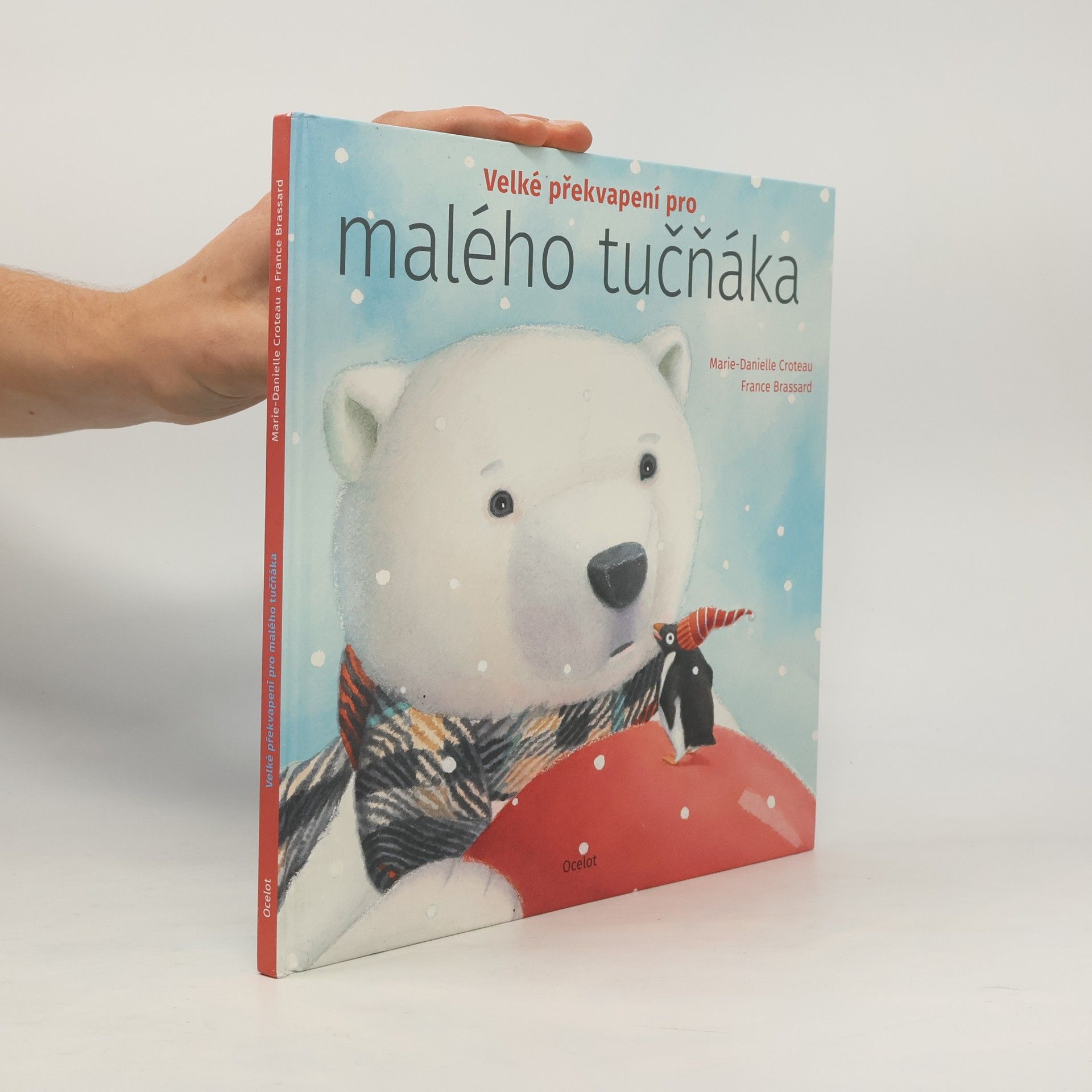 MarieDanielle Croteau Velké překvapení pro malého tučňáka