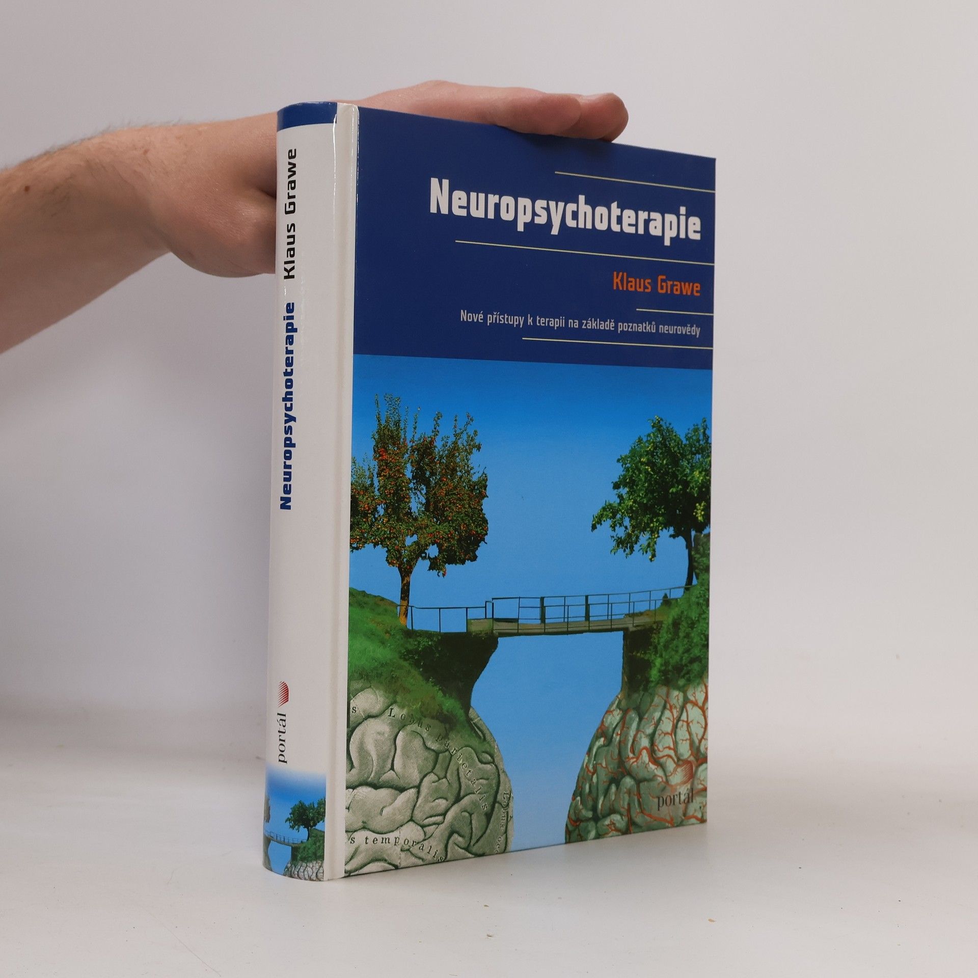 Neuropsychoterapie