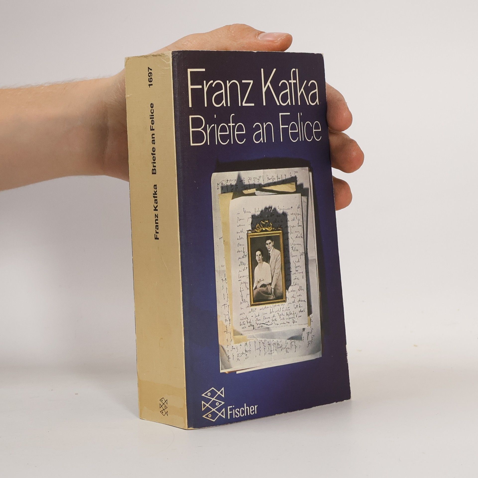 Franz Kafka Briefe an Felice