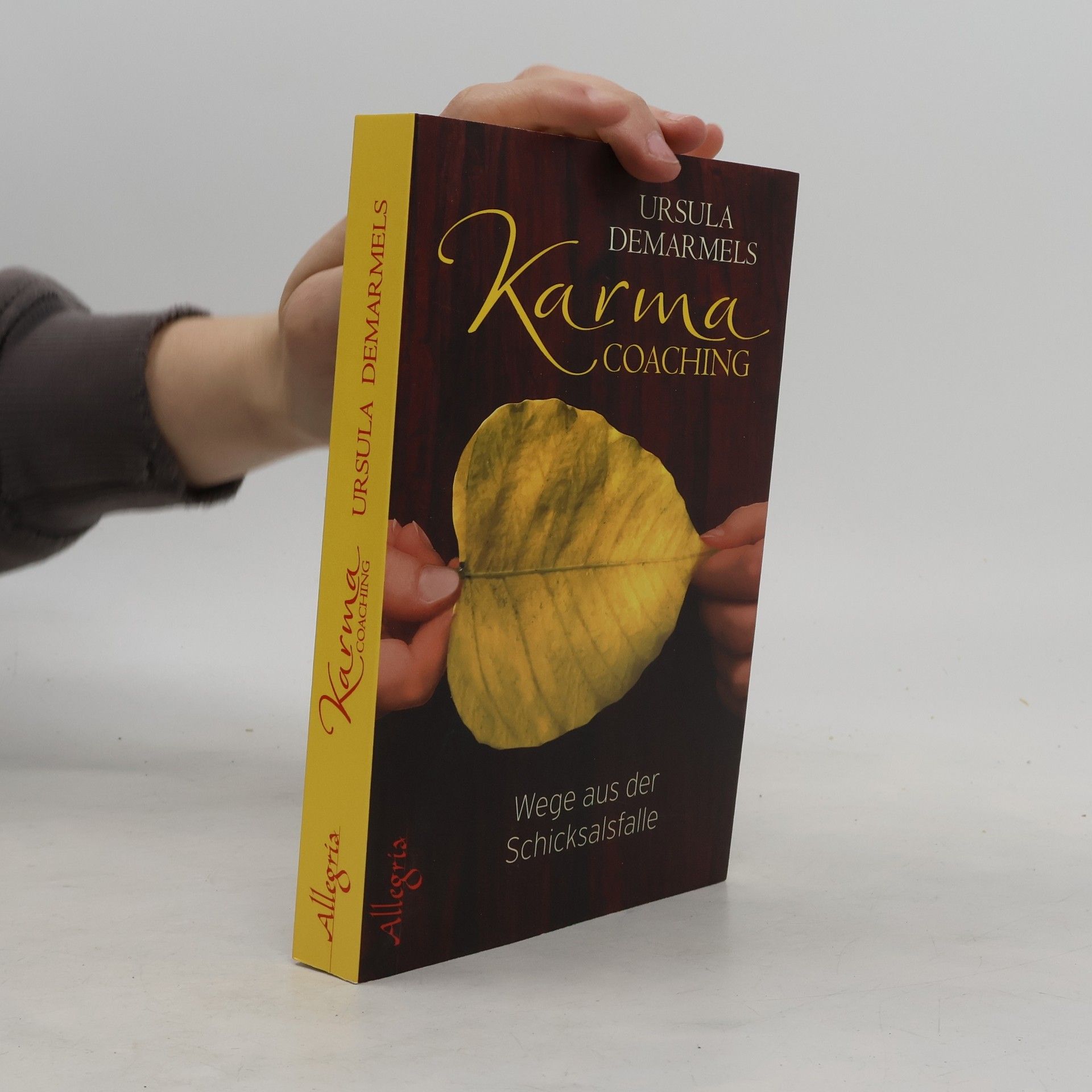 Ursula Demarmels Karma-Coaching