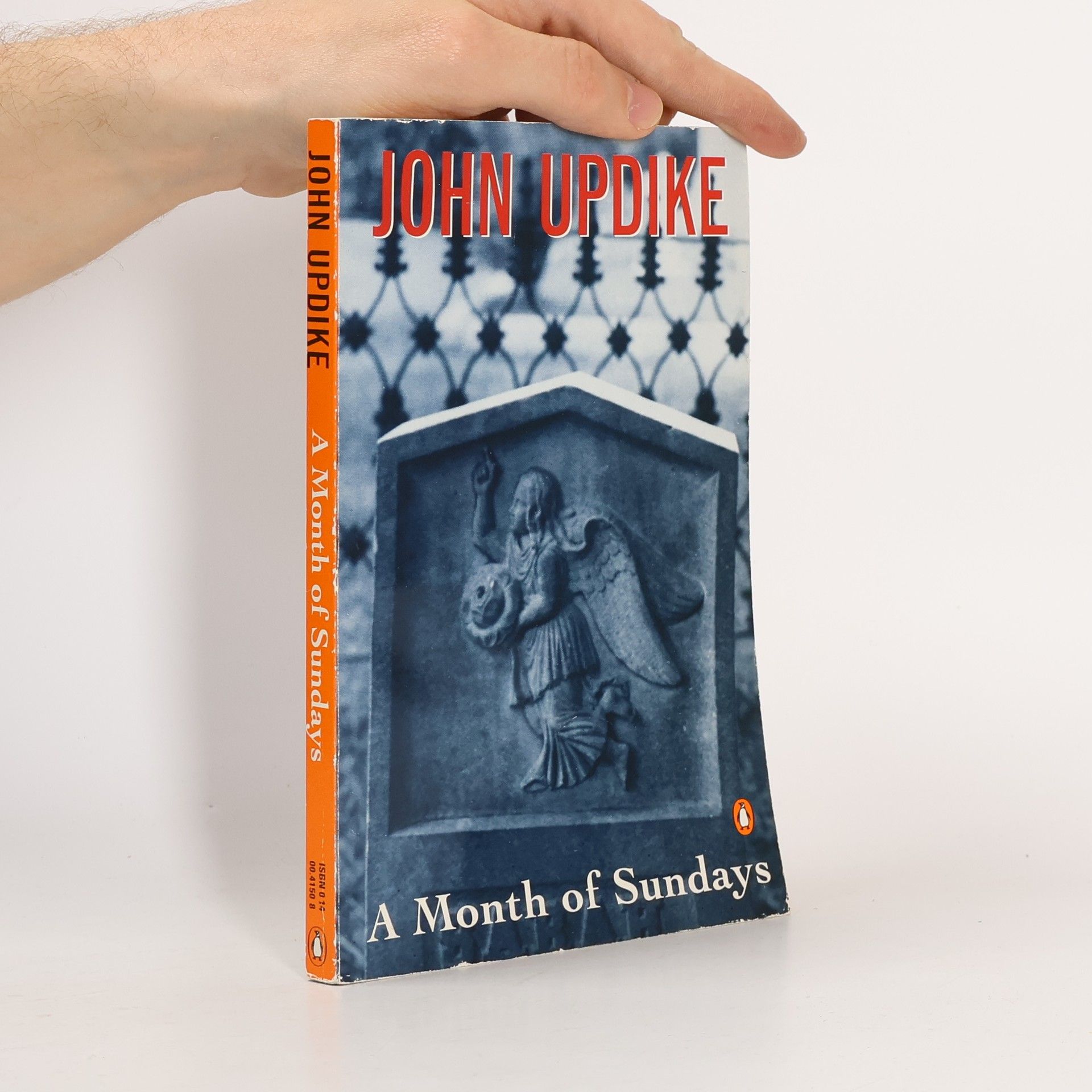 John Updike A Month of Sundays