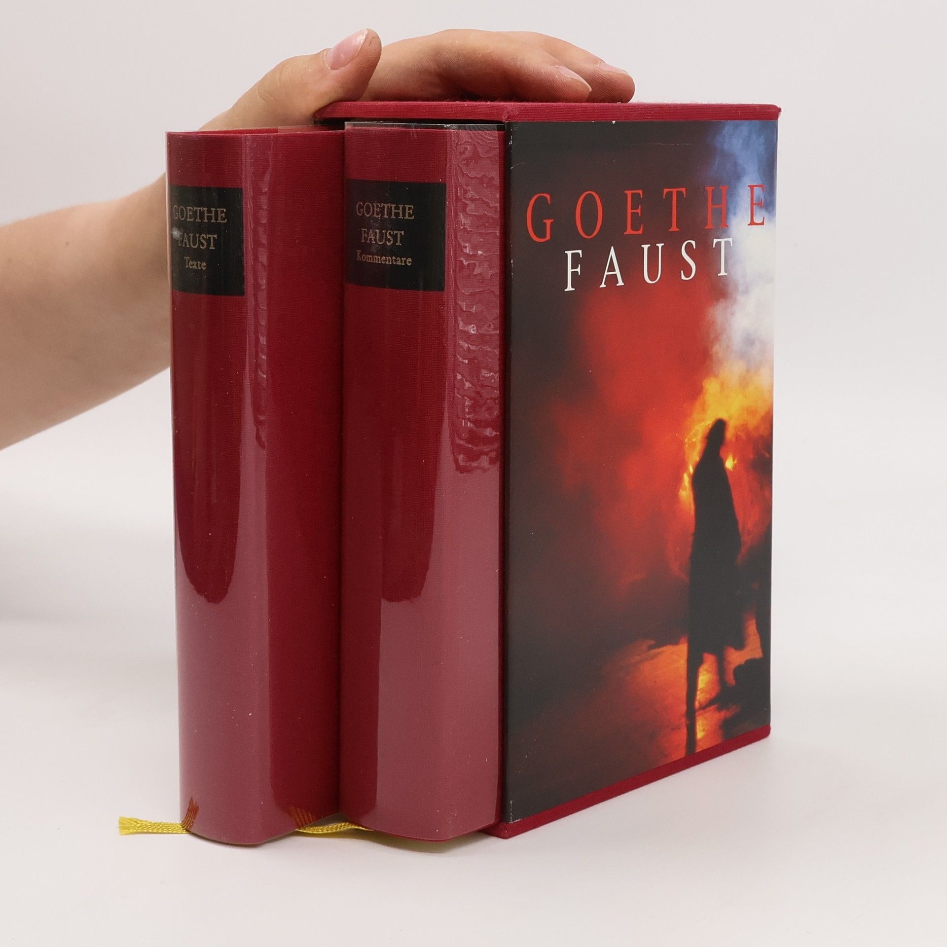 Johann Wolfgang von Goethe Faust, 2 Bde.