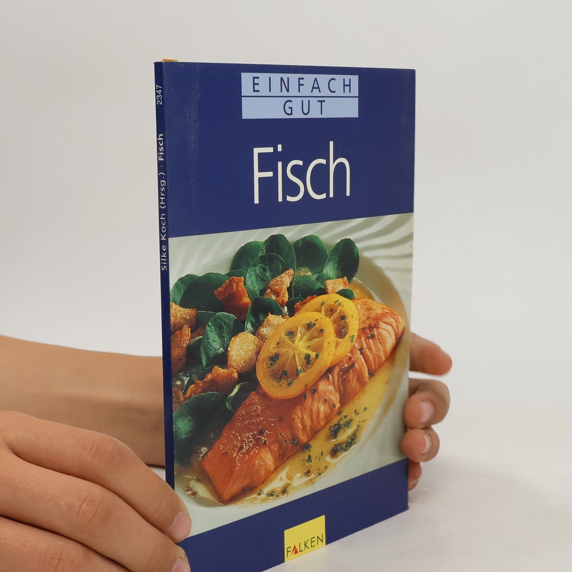 Silke Koch Fisch