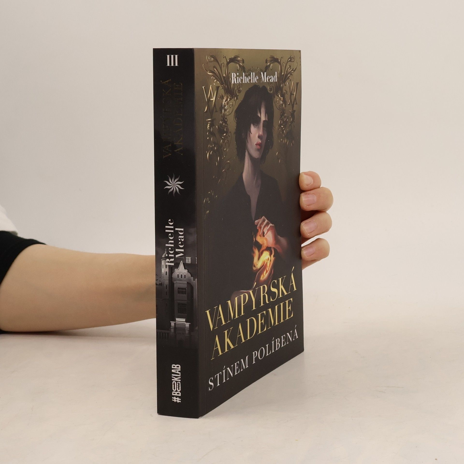 Richelle Mead Vampýrská akademie. Stínem políbená