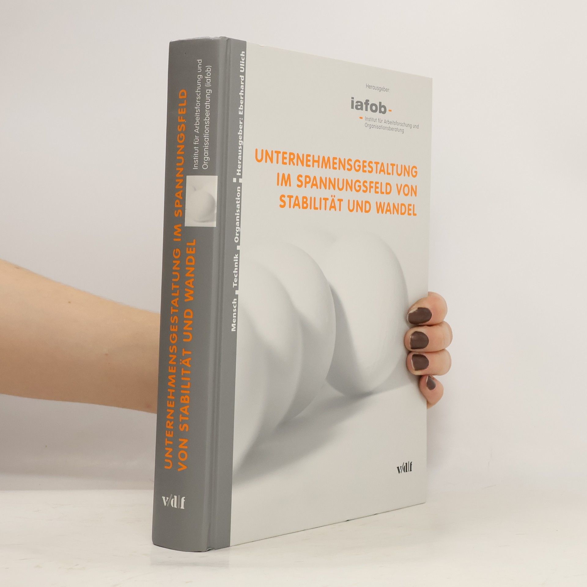 Unternehmensgestaltung im Spannungsfeld von Stabilität und Wandel