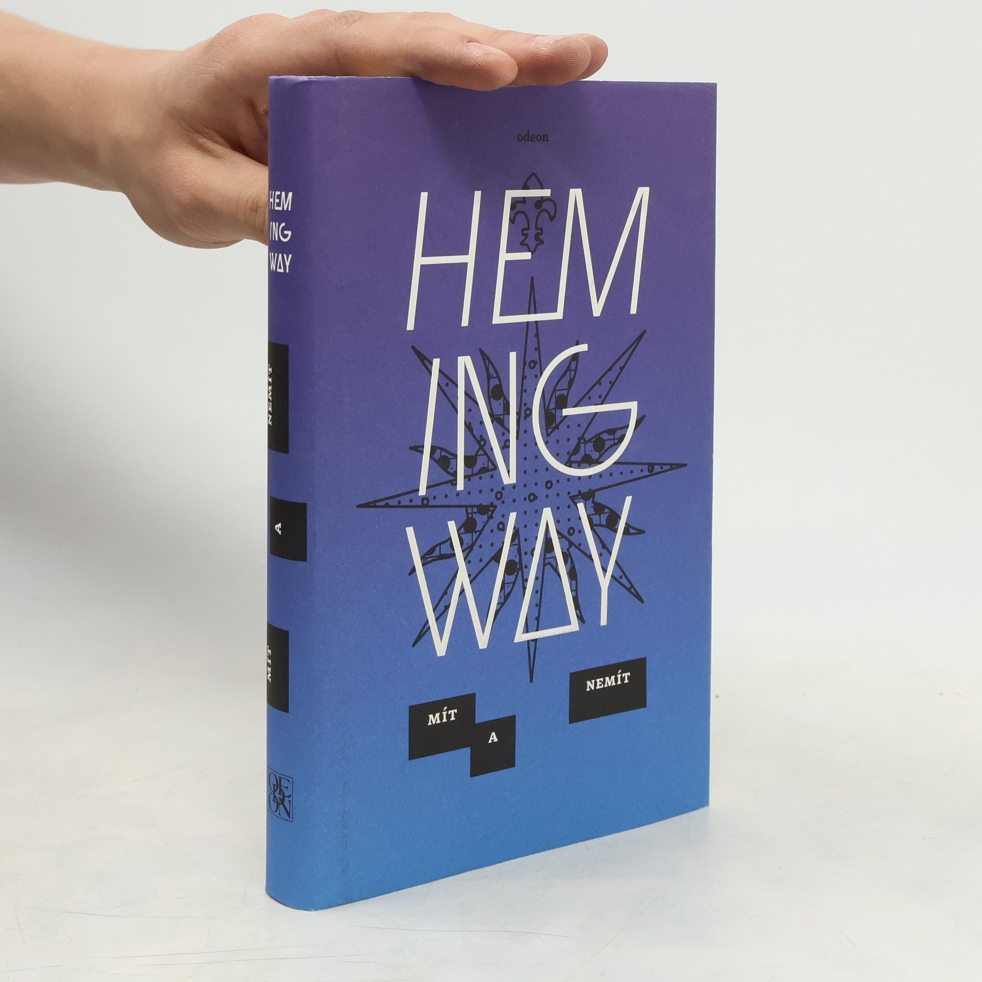 Ernest Hemingway Mít a nemít