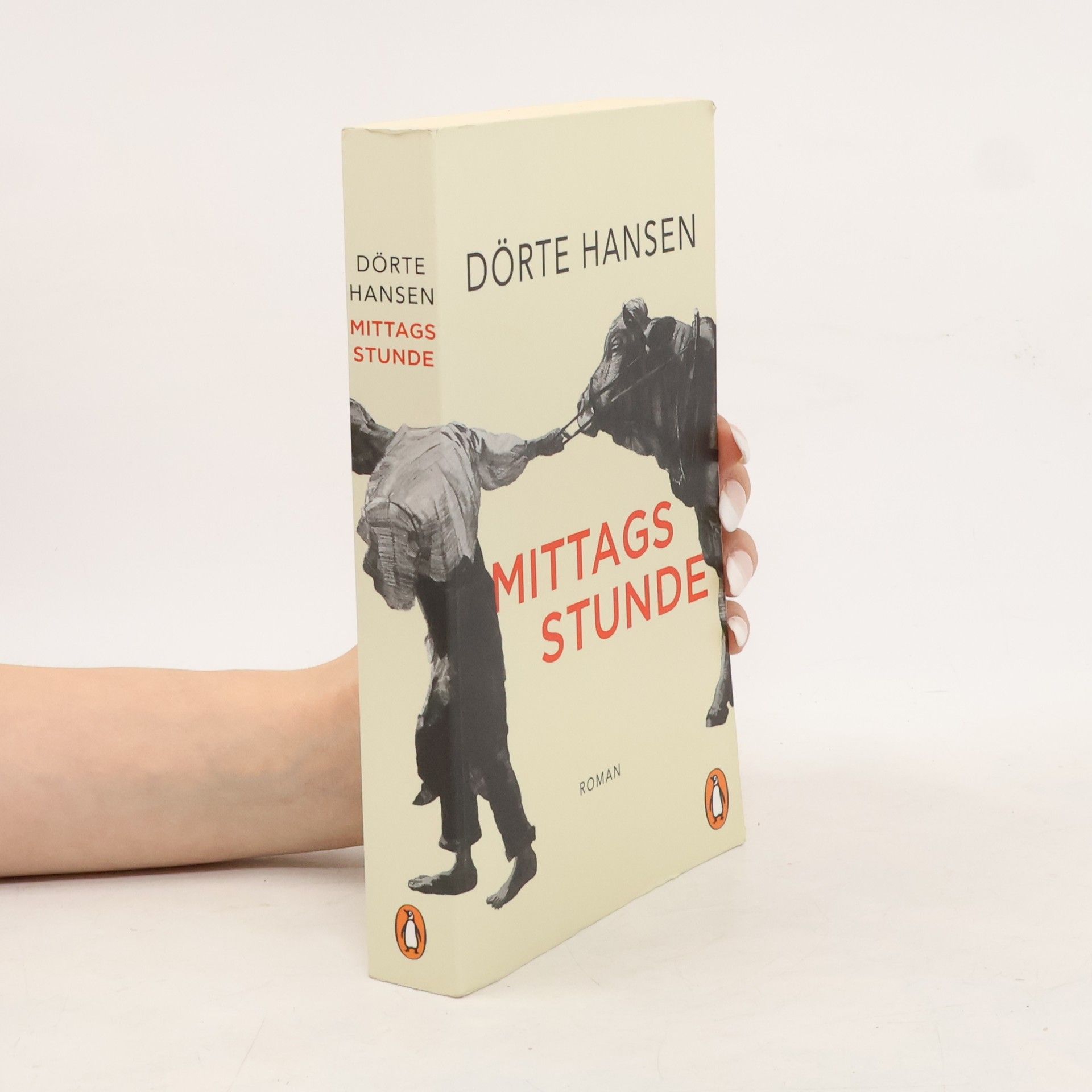 Dörte Hansen Mittagsstunde