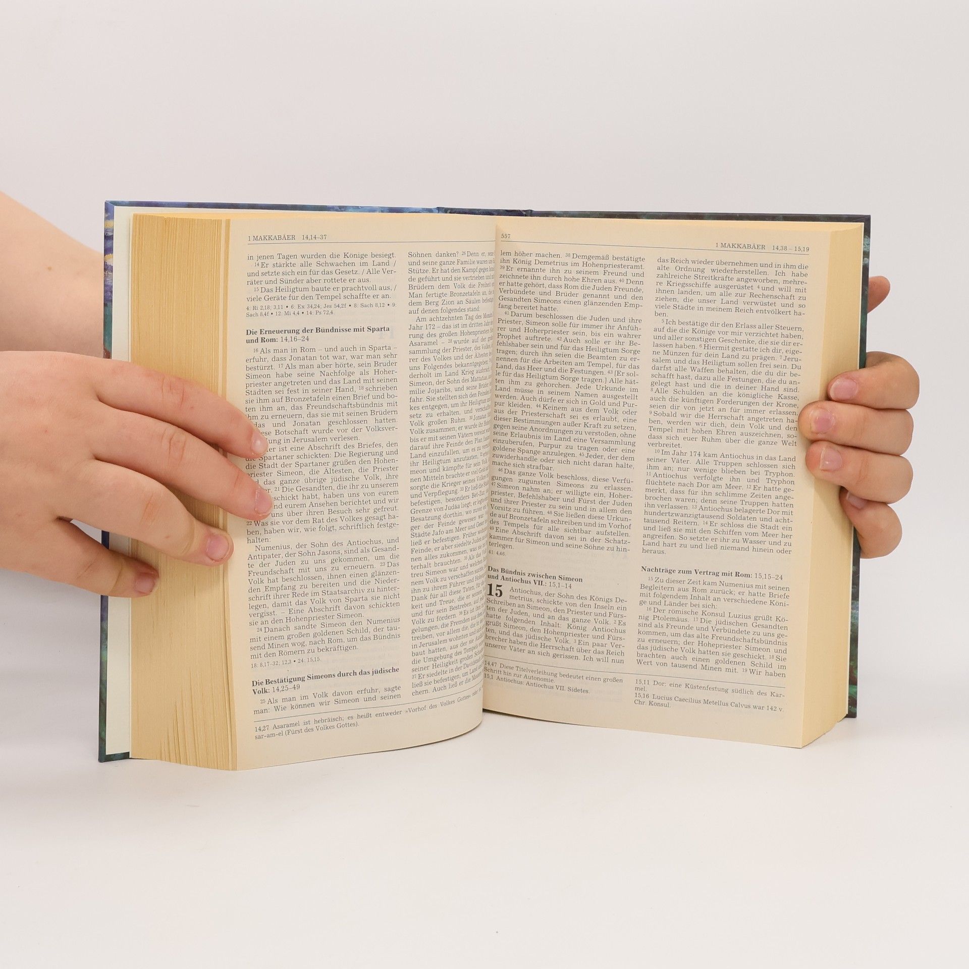 Collectif d'auteurs Die Bibel. Einheitsübersetzung