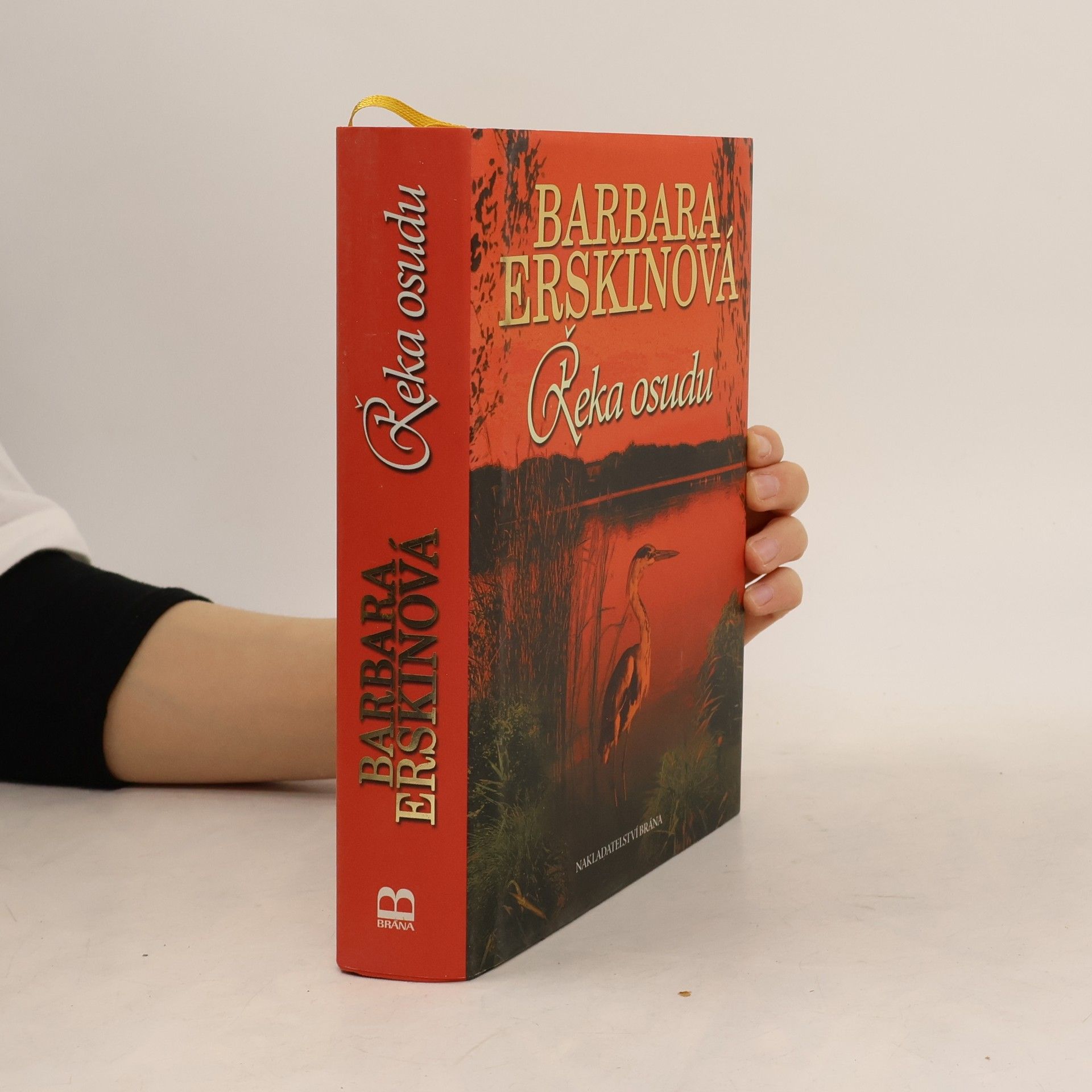 Barbara Erskinová Řeka osudu