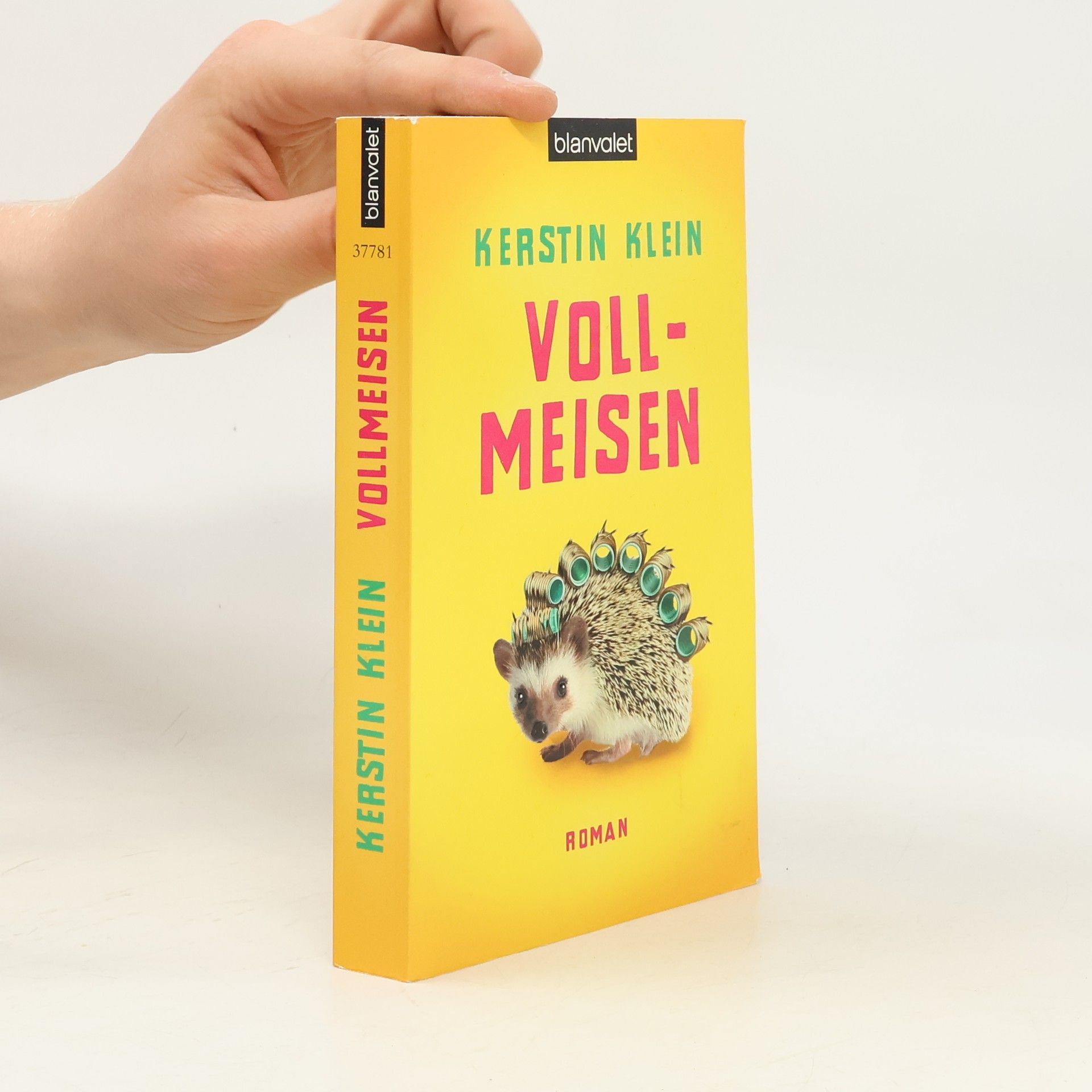 Kerstin Klein Vollmeisen