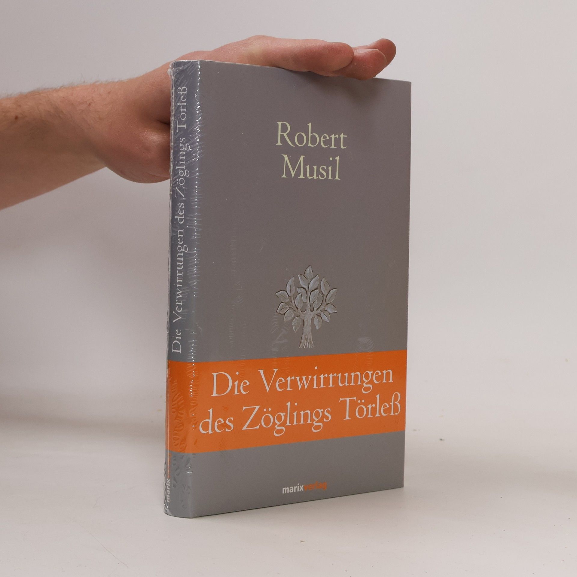 Robert Musil Die Verwirrungen des Zöglings Törleß