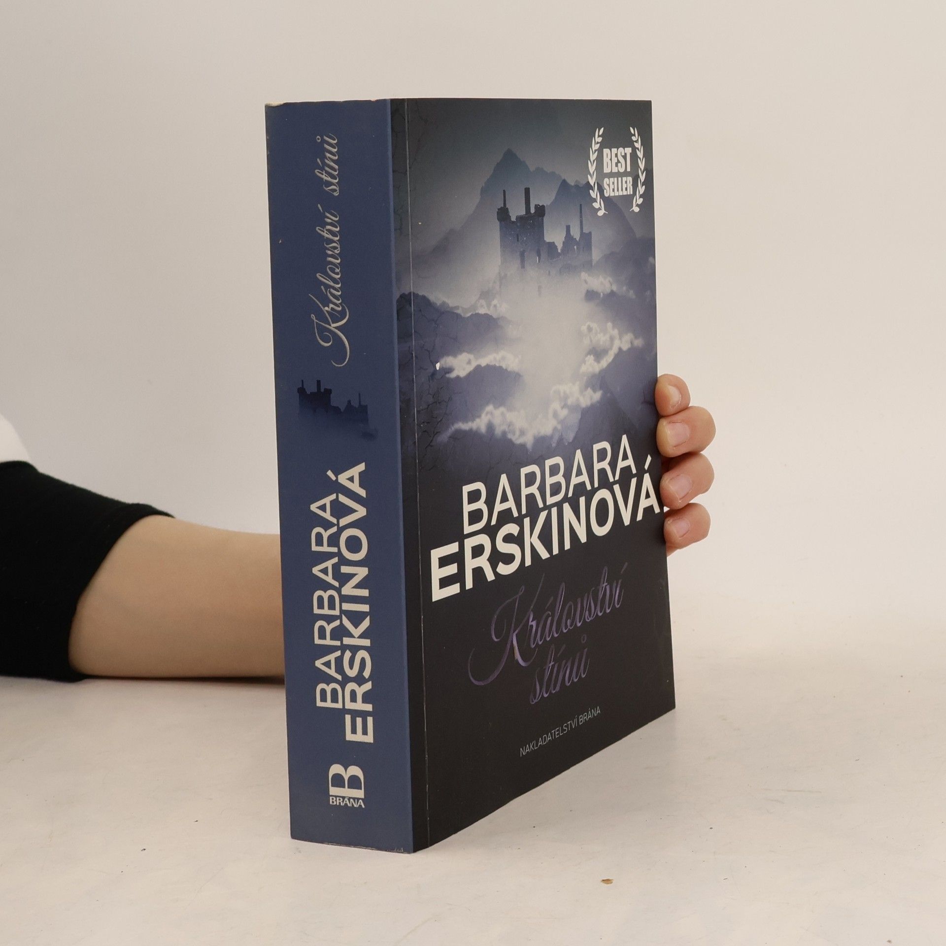 Barbara Erskine Království stínů