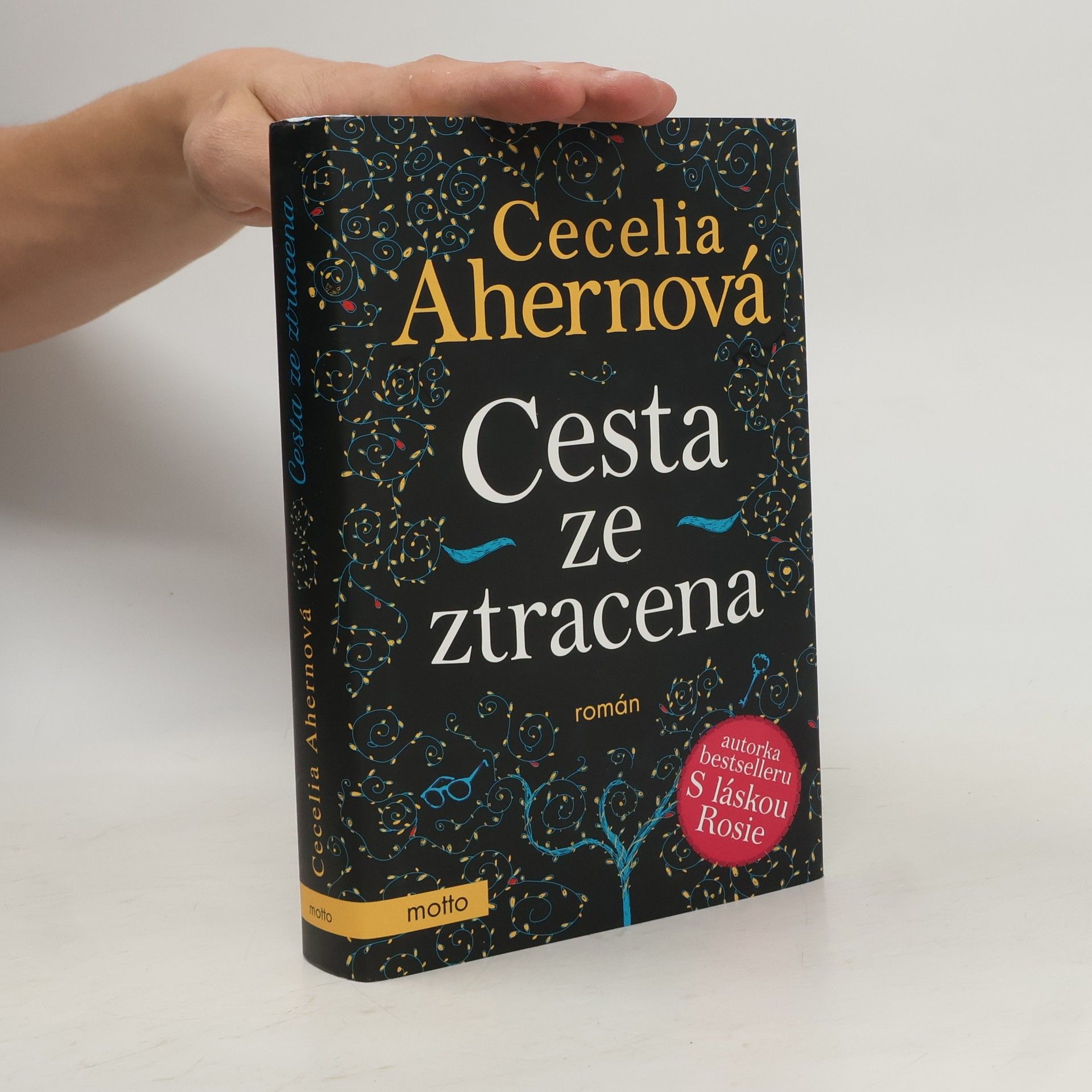 Cecelia Ahern Cesta ze ztracena