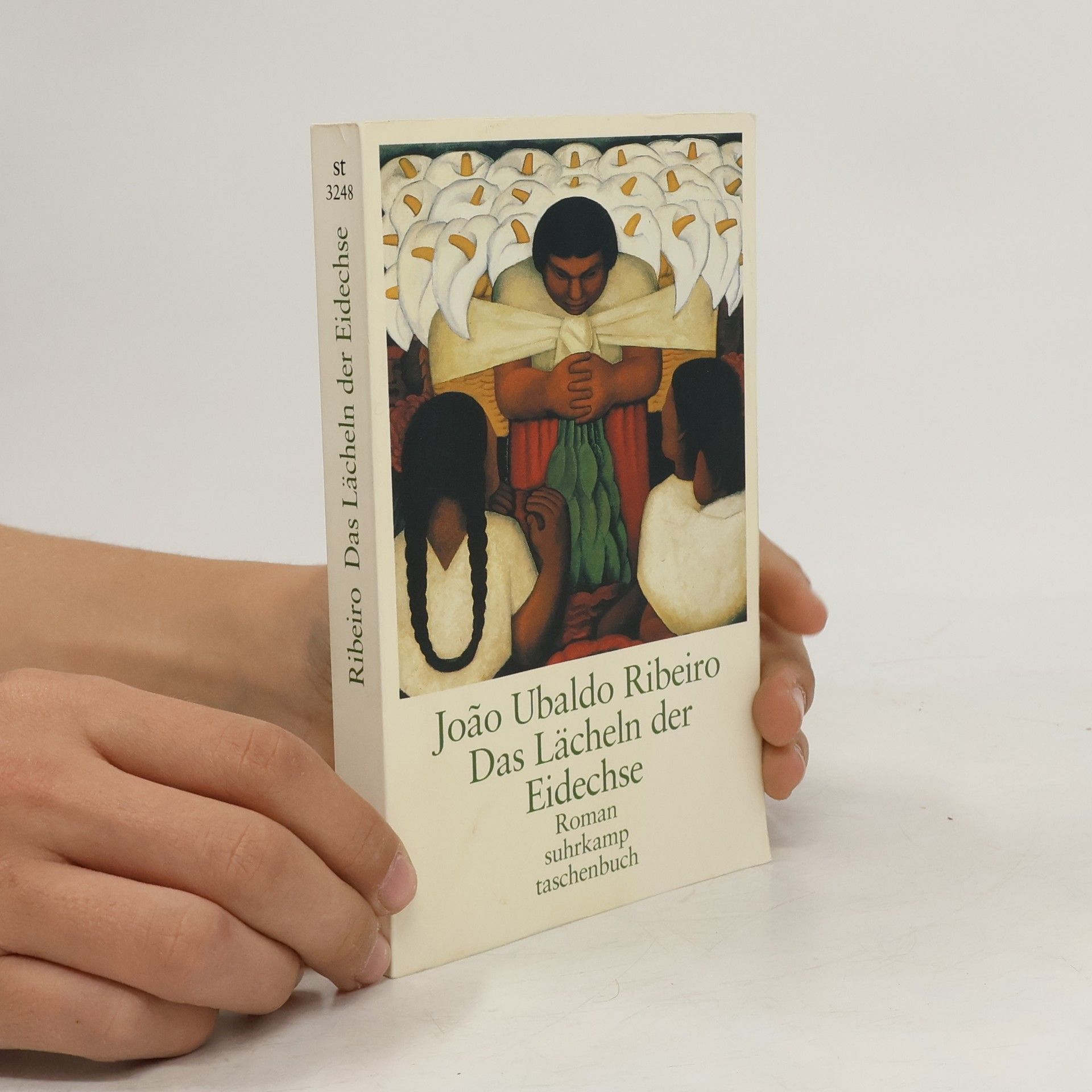 João Ubaldo Ribeiro Das Lächeln der Eidechse