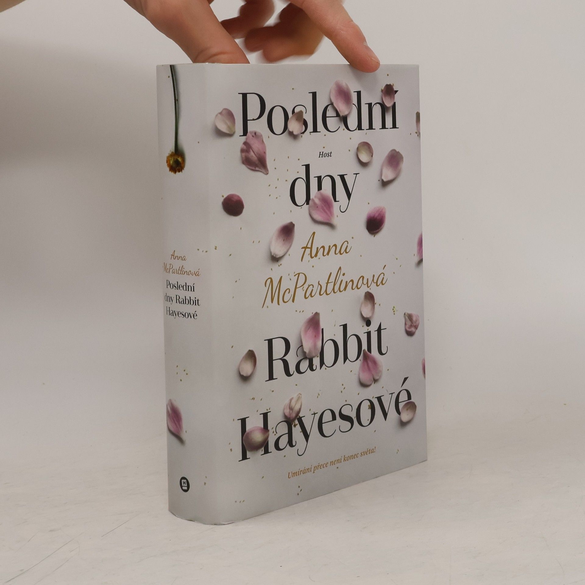 Anna McPartlin Poslední dny Rabbit Hayesové