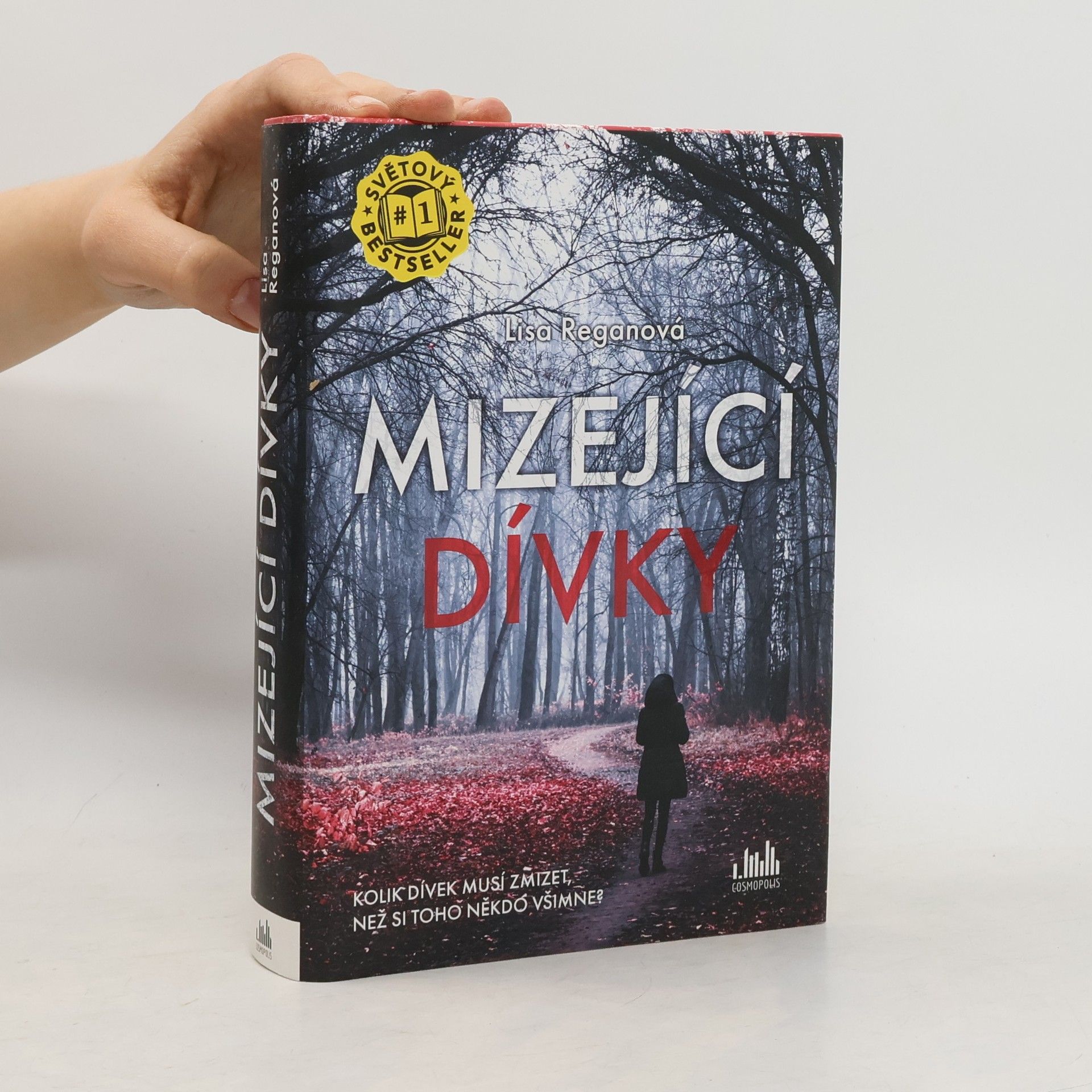 Lisa Regan Mizející dívky