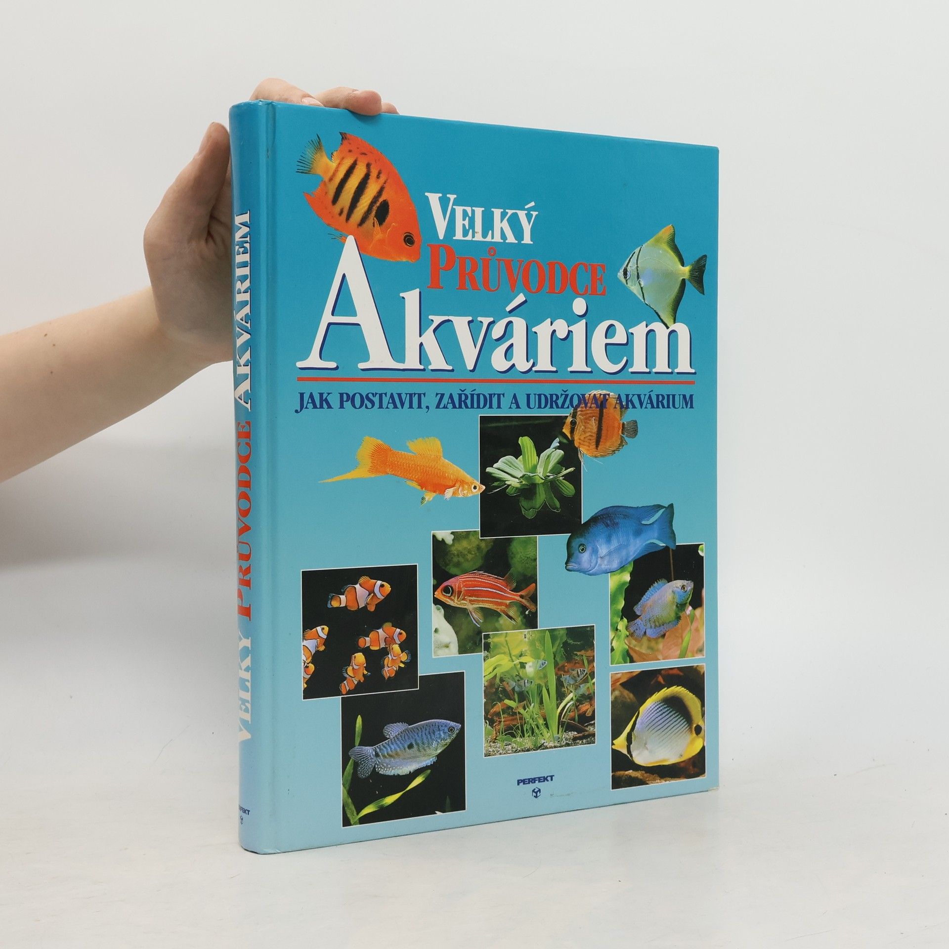 Thierry Maitre Allain Velký průvodce akváriem