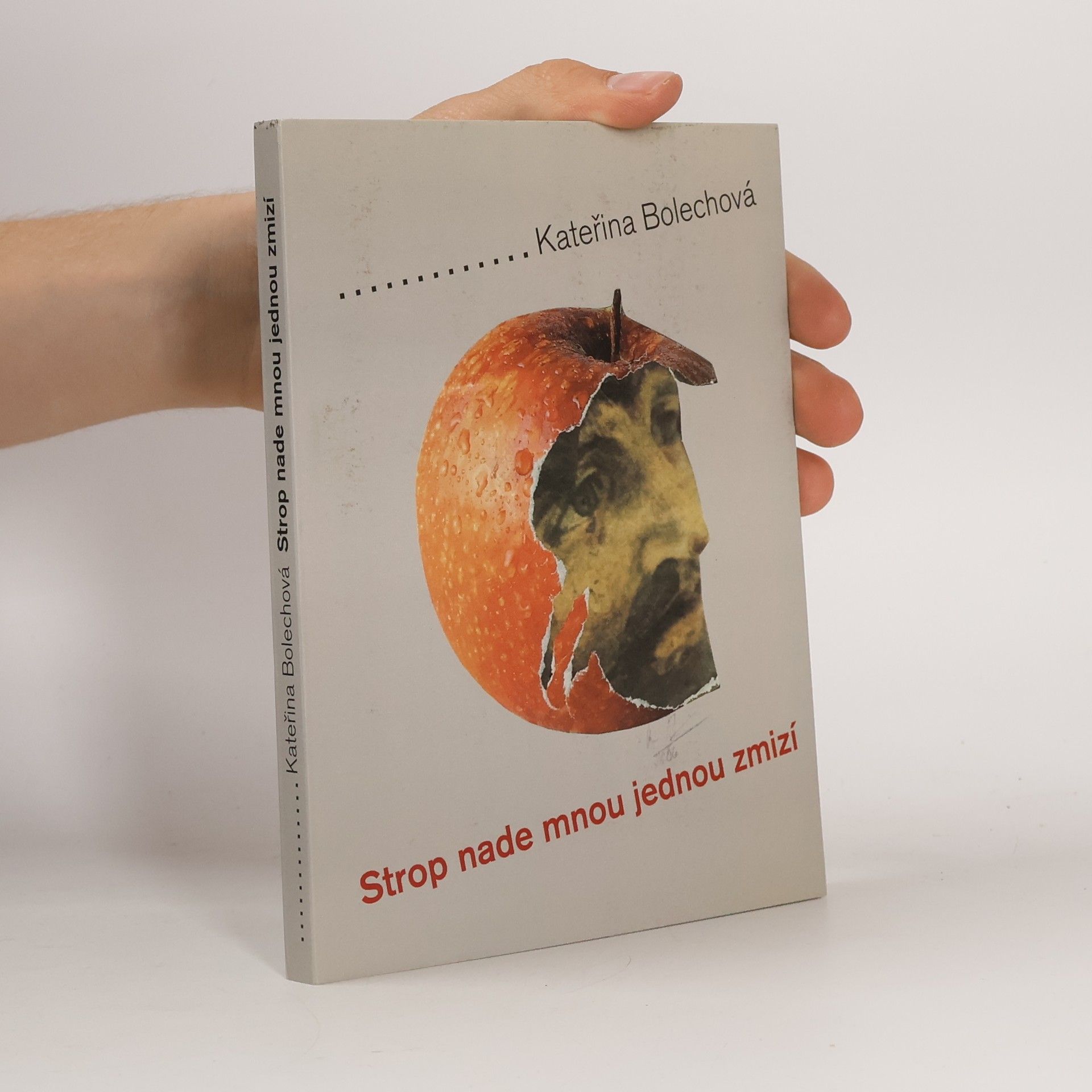 Kateřina Bolechová Strop nade mnou jednou zmizí
