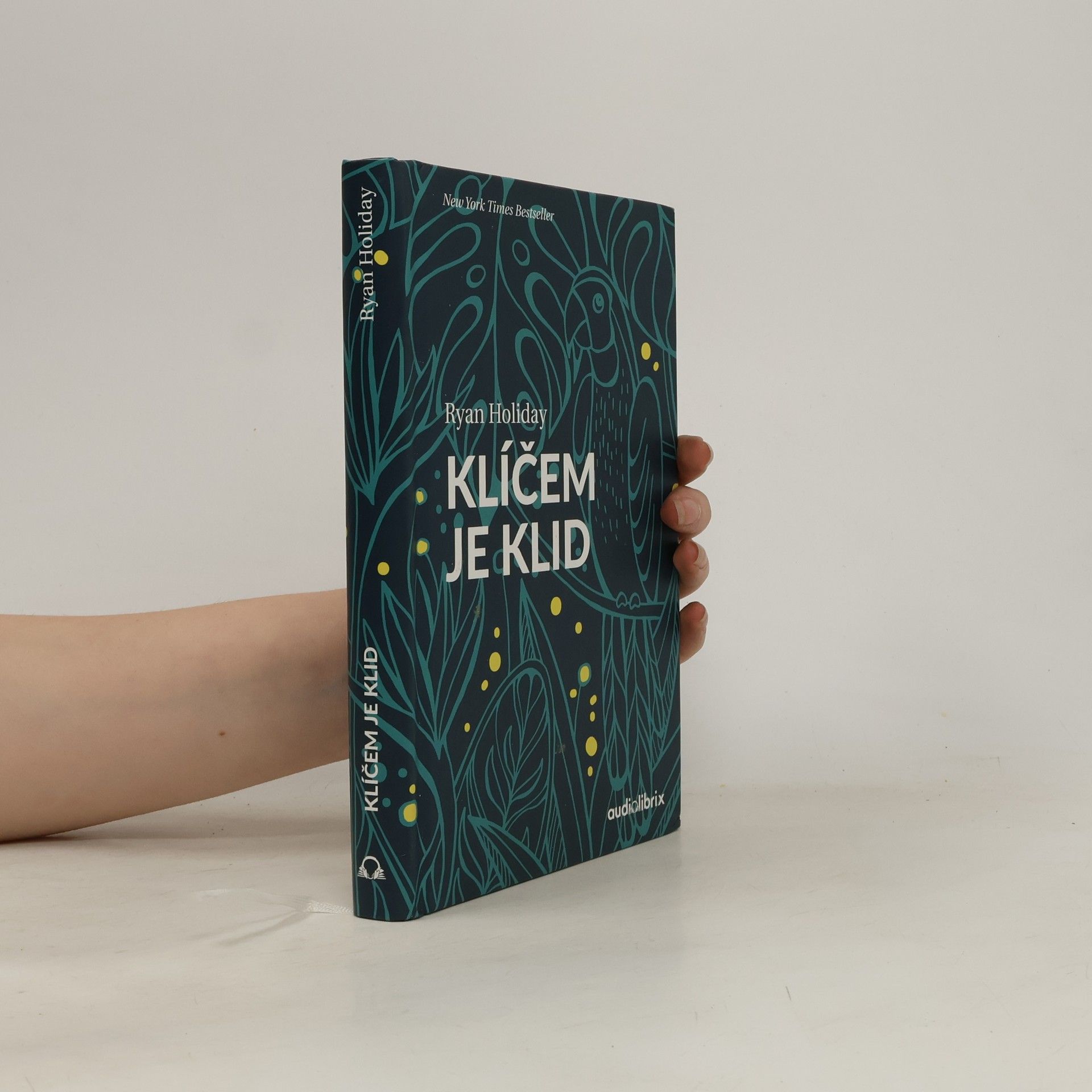 Ryan Holiday Klíčem je klid