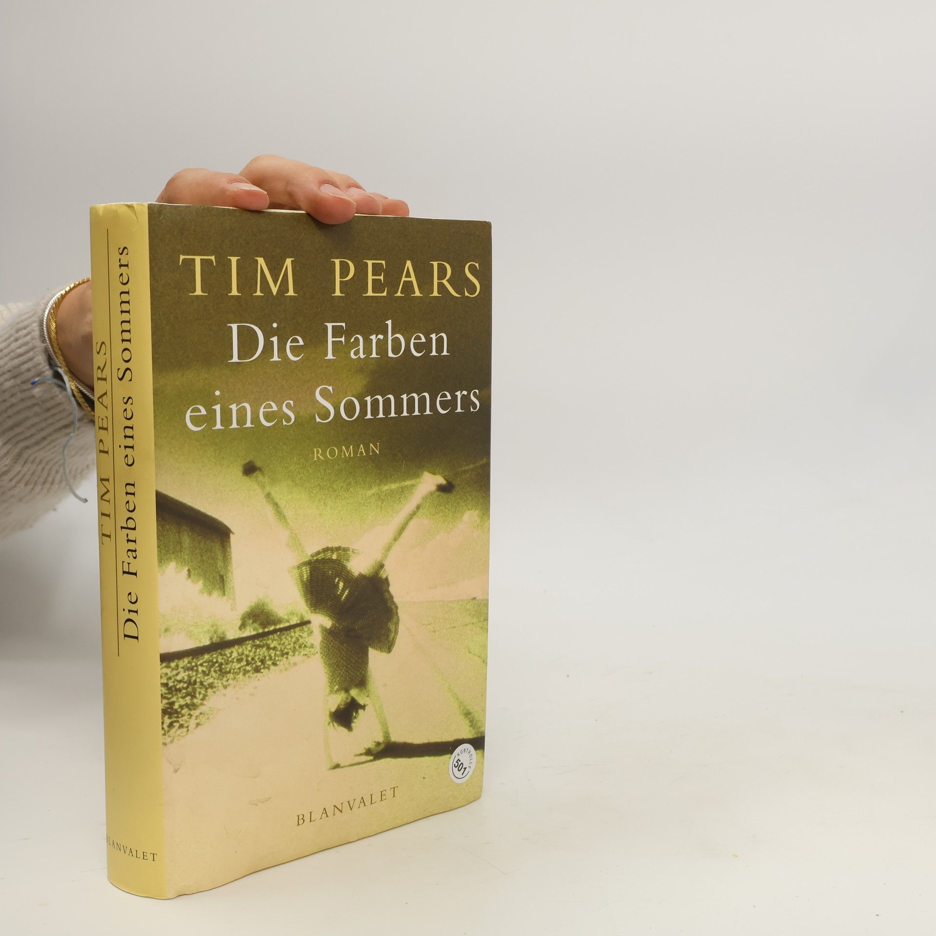 Tim Pears Die Farben eines Sommers