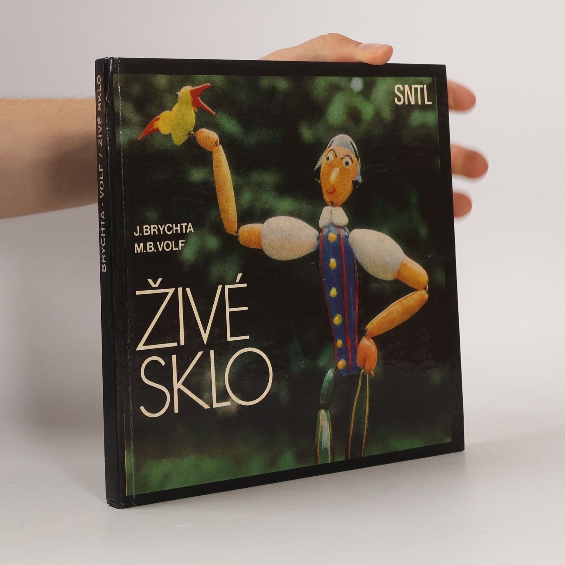 Jaroslav Brychta Živé sklo