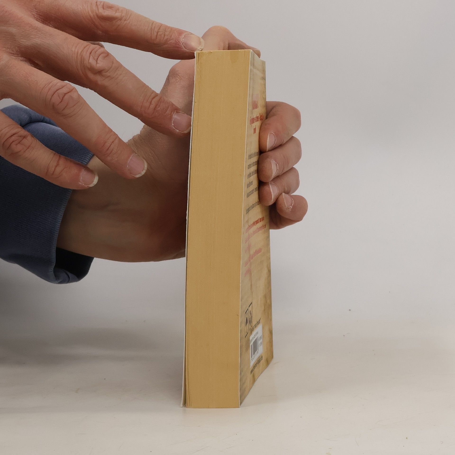 Sebastian Fitzek Das Paket
