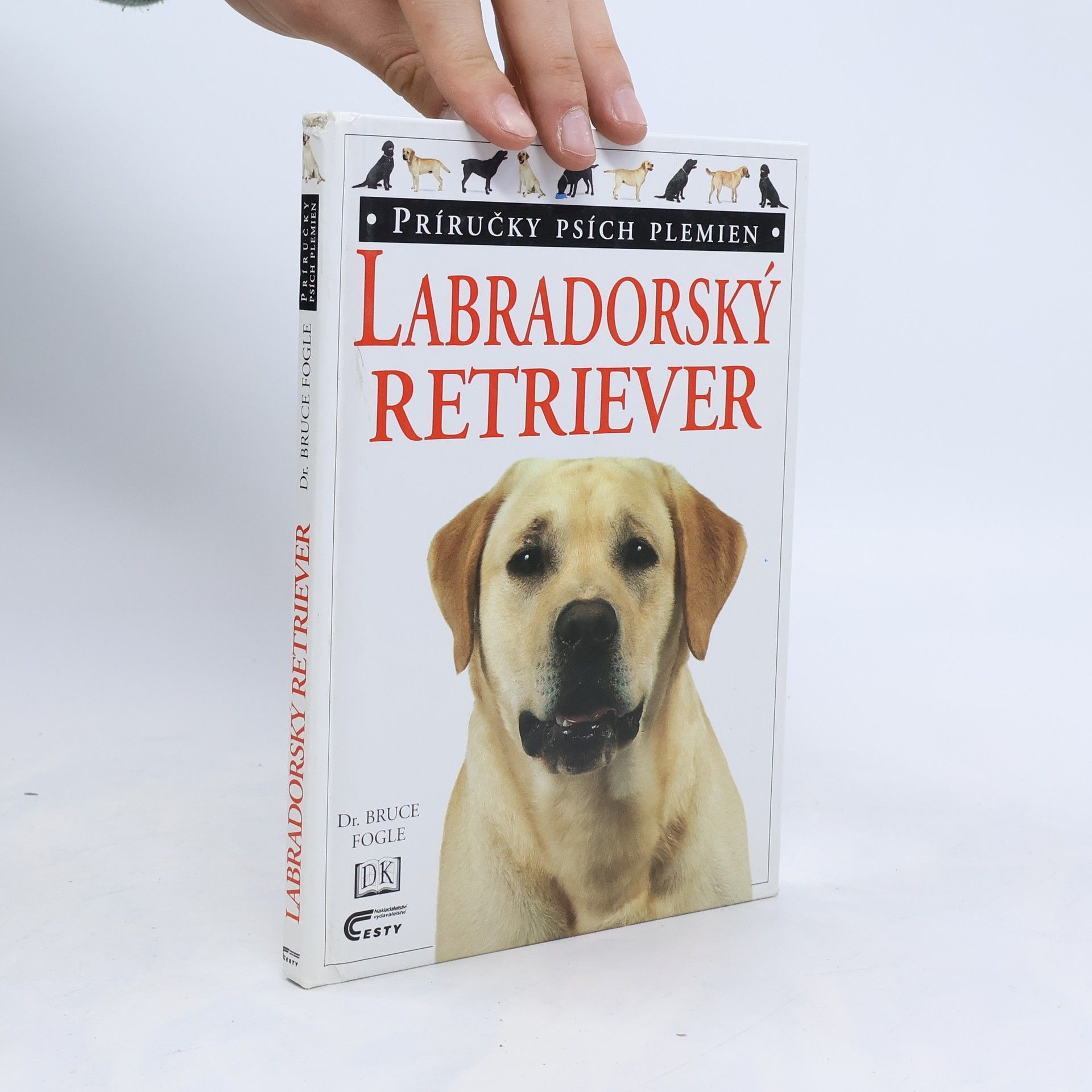 Bruce Folge Labradorský retriever