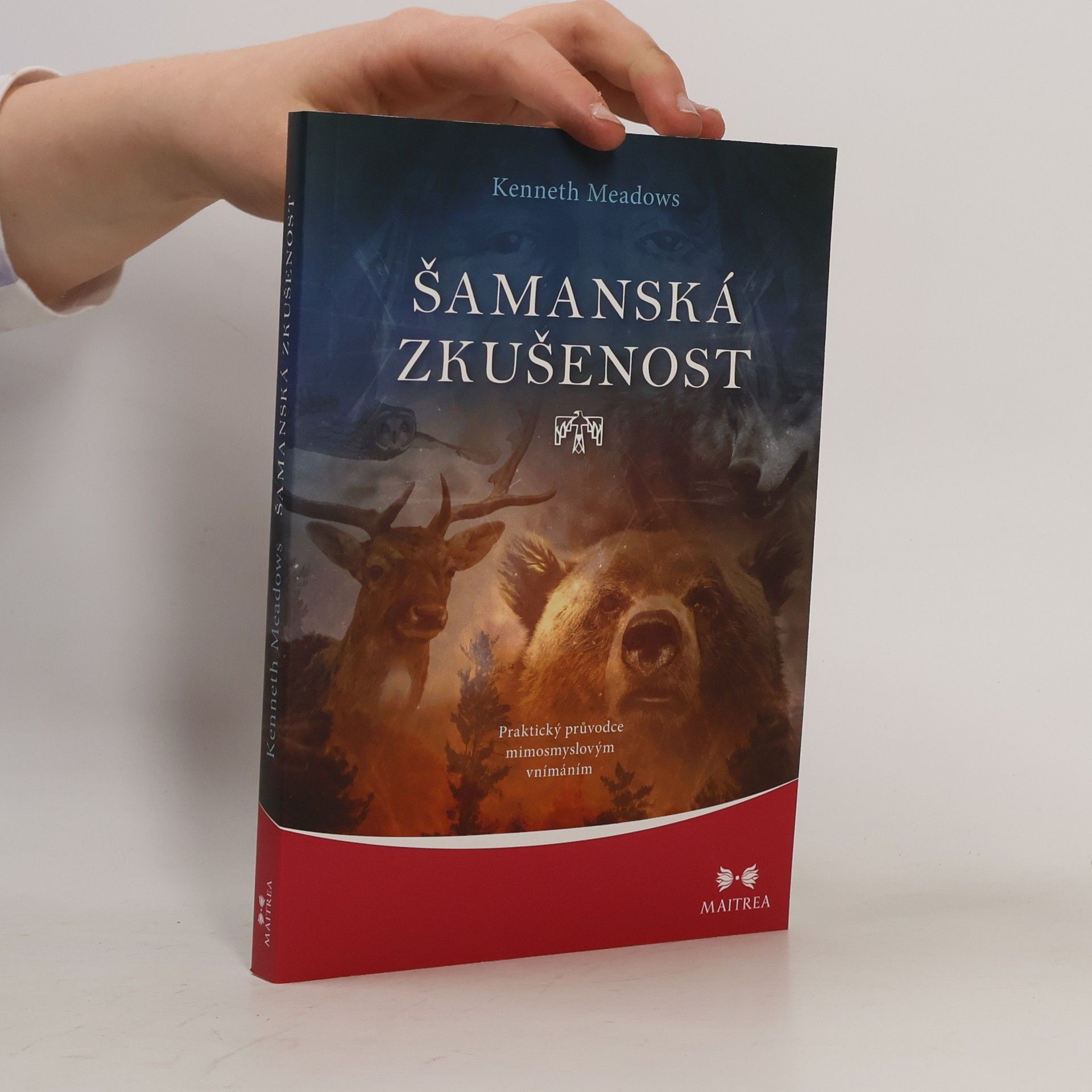 Kenneth Meadows Šamanská zkušenost - Praktický průvodce mimosmyslovým vnímáním