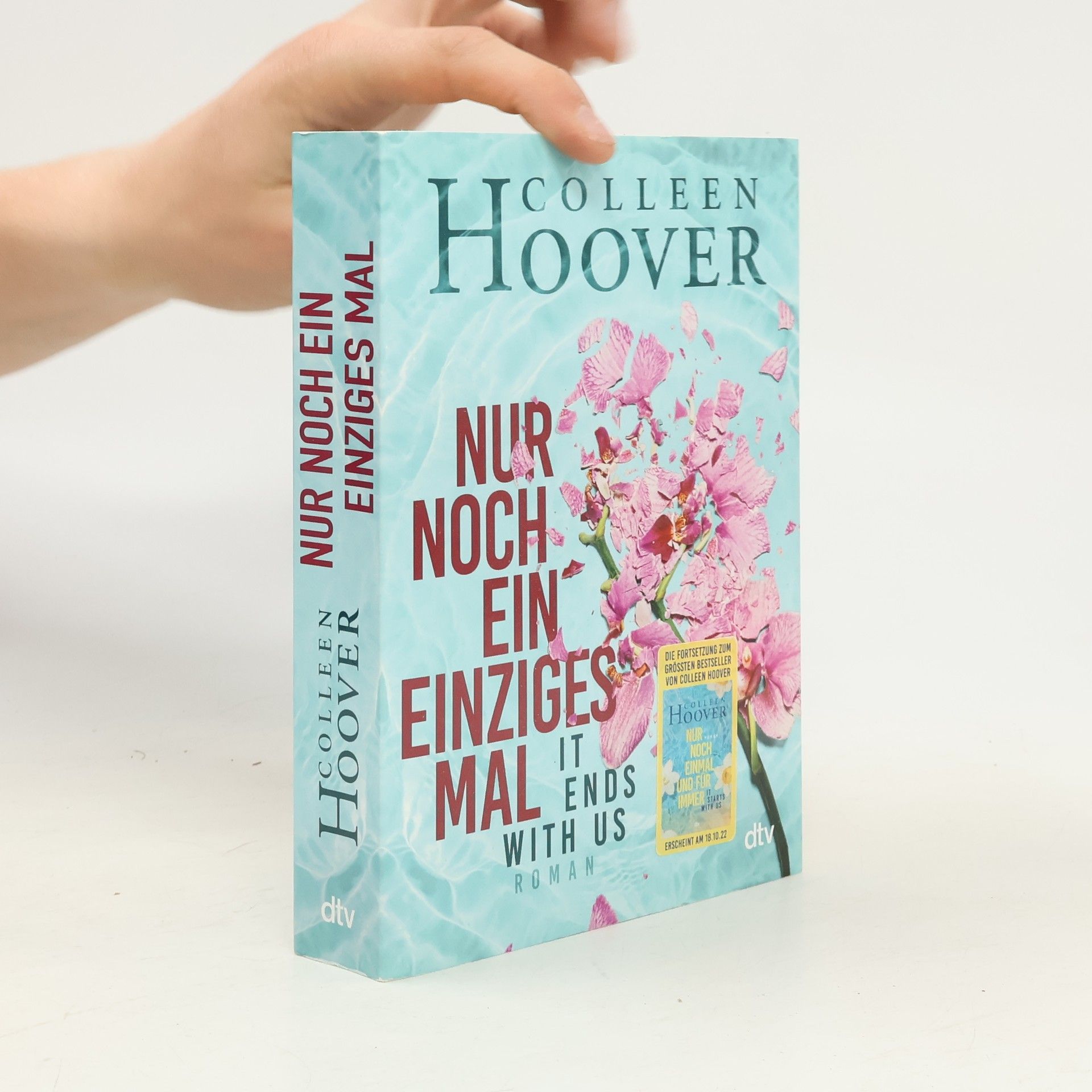 Colleen Hoover Nur noch ein einziges Mal