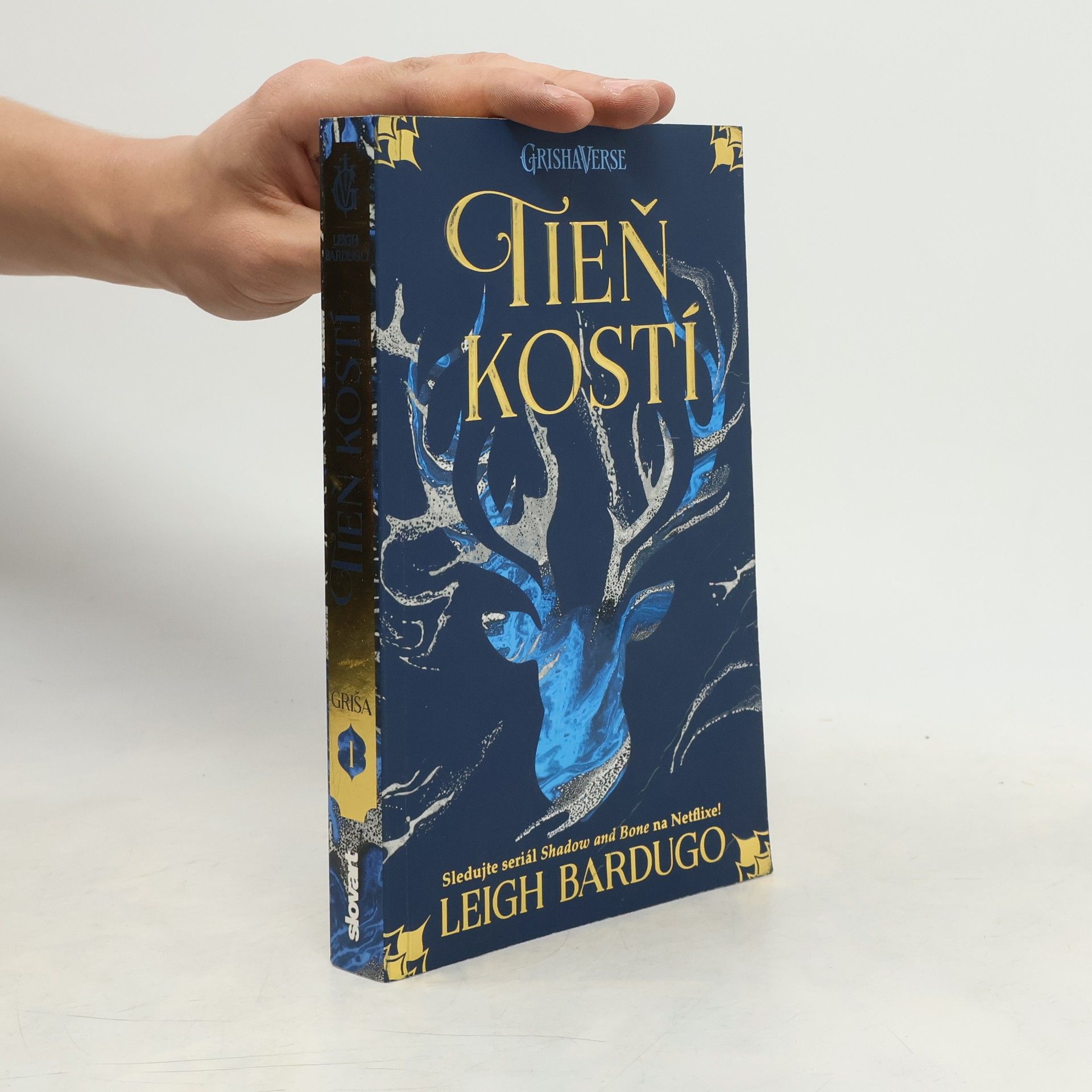 Leigh Bardugo Tieň kostí