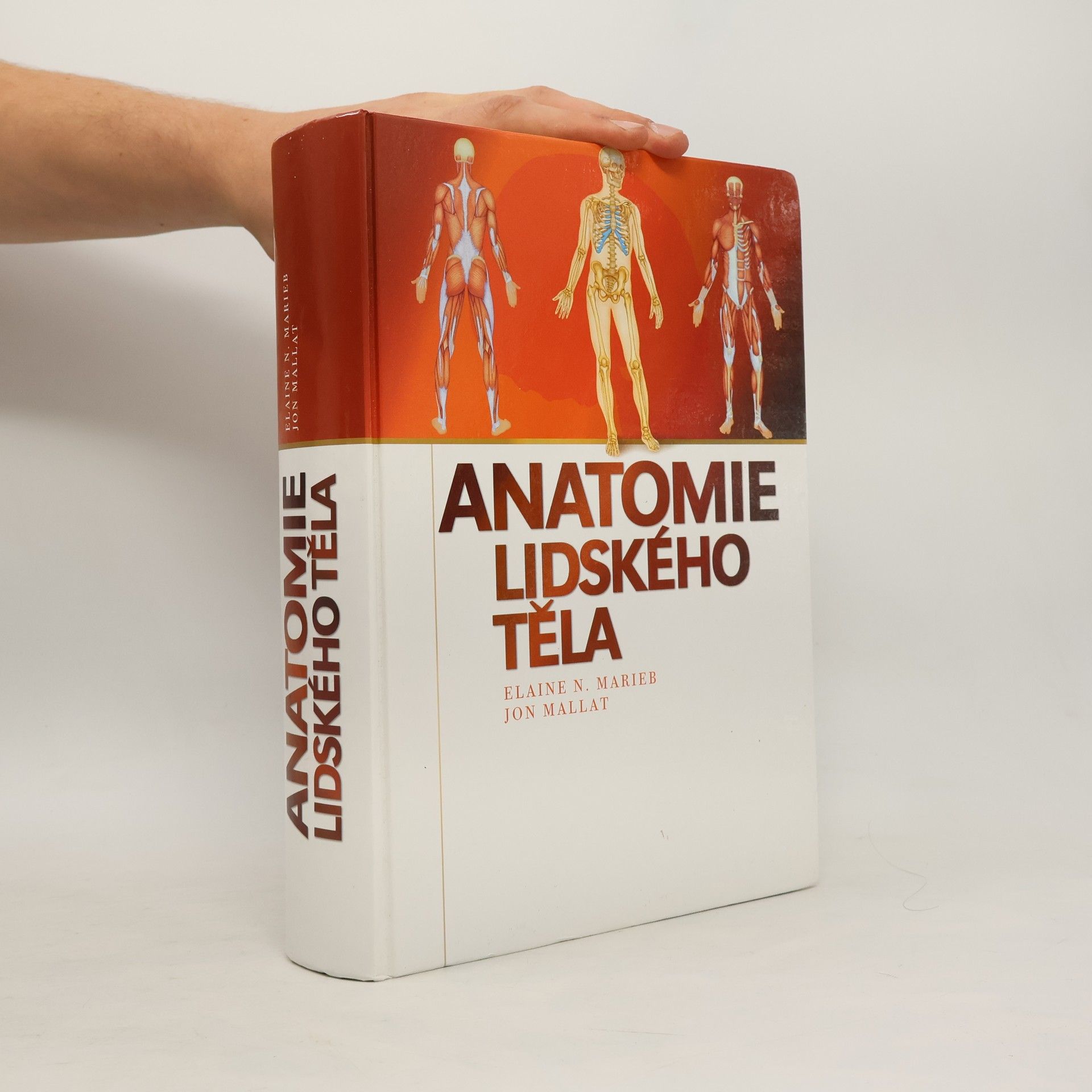 Anatomie lidského těla