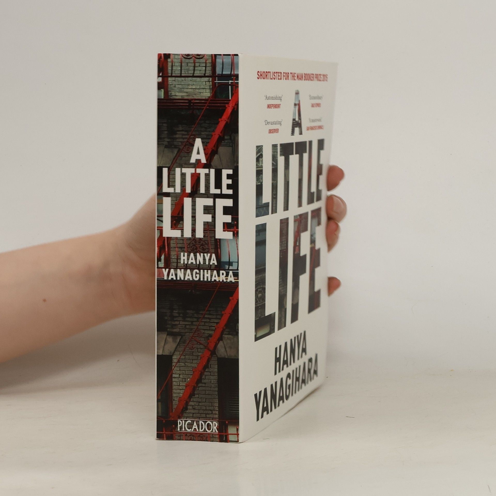 Hanya Yanagihara A Little Life