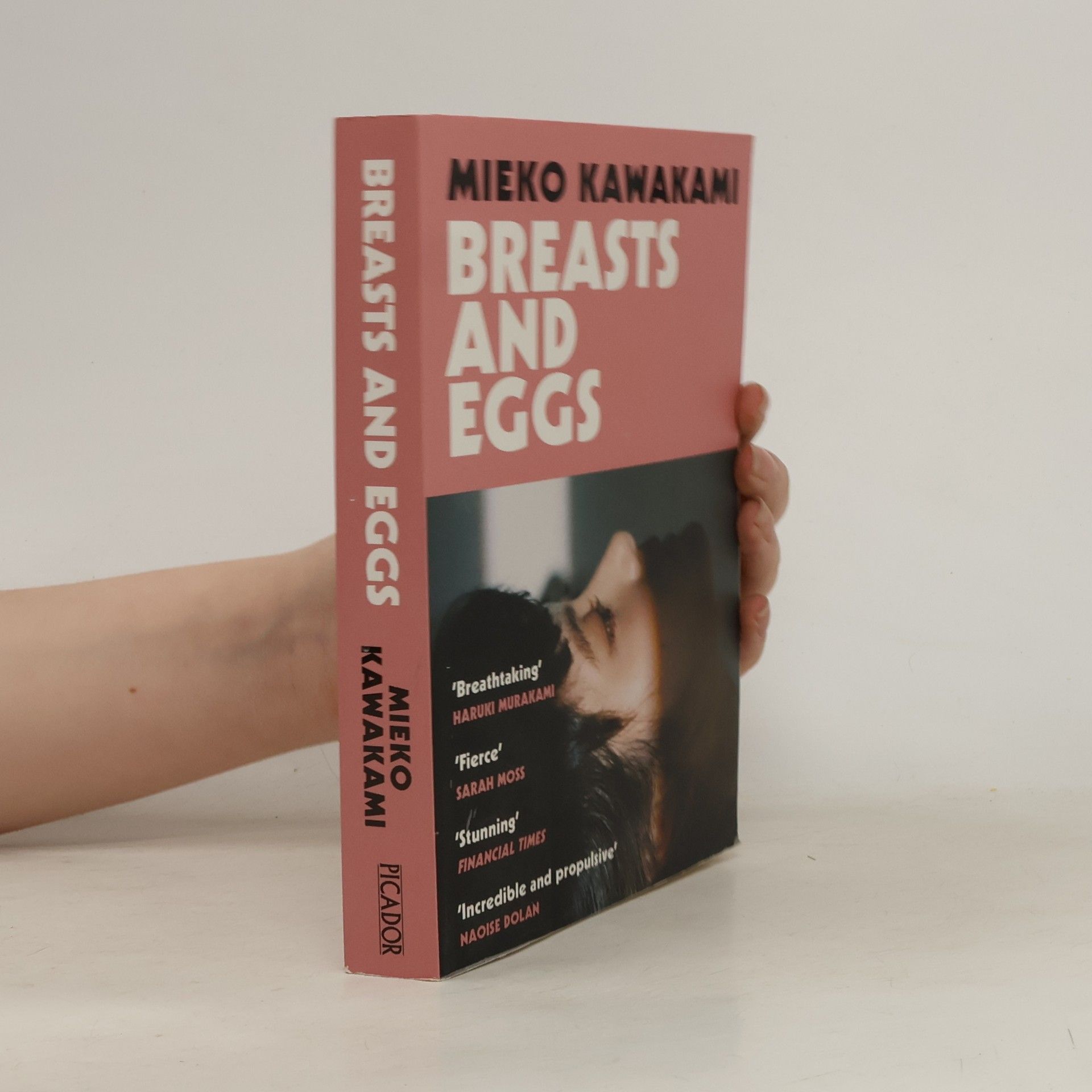 Mieko Kawakami Breasts and Eggs