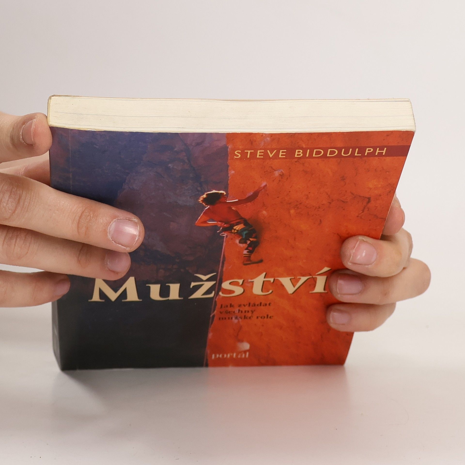 Steve Biddulph Mužství : jak zvládat všechny mužské role