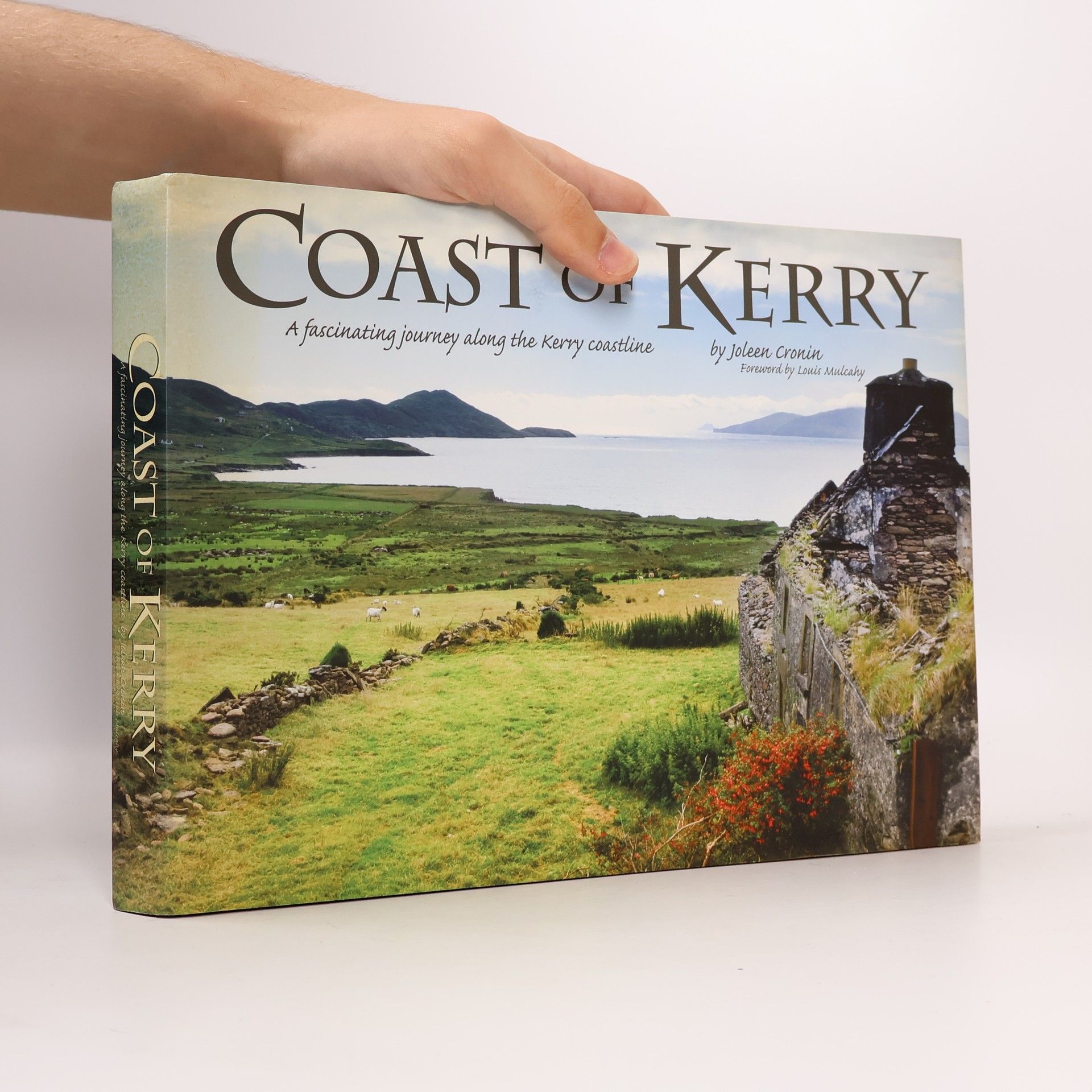 Louis Macalony Coast of Kerry