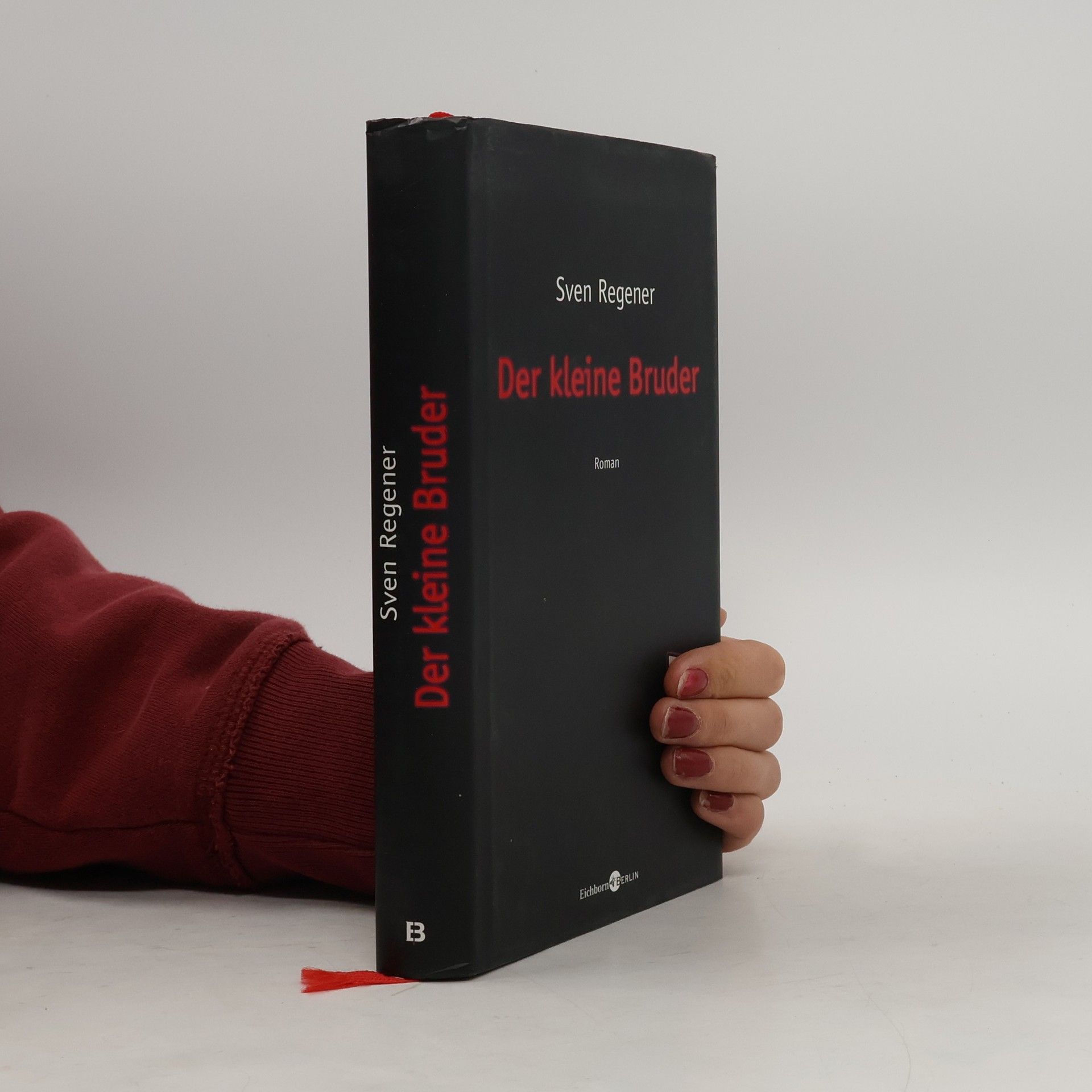 Sven Regener Der kleine Bruder