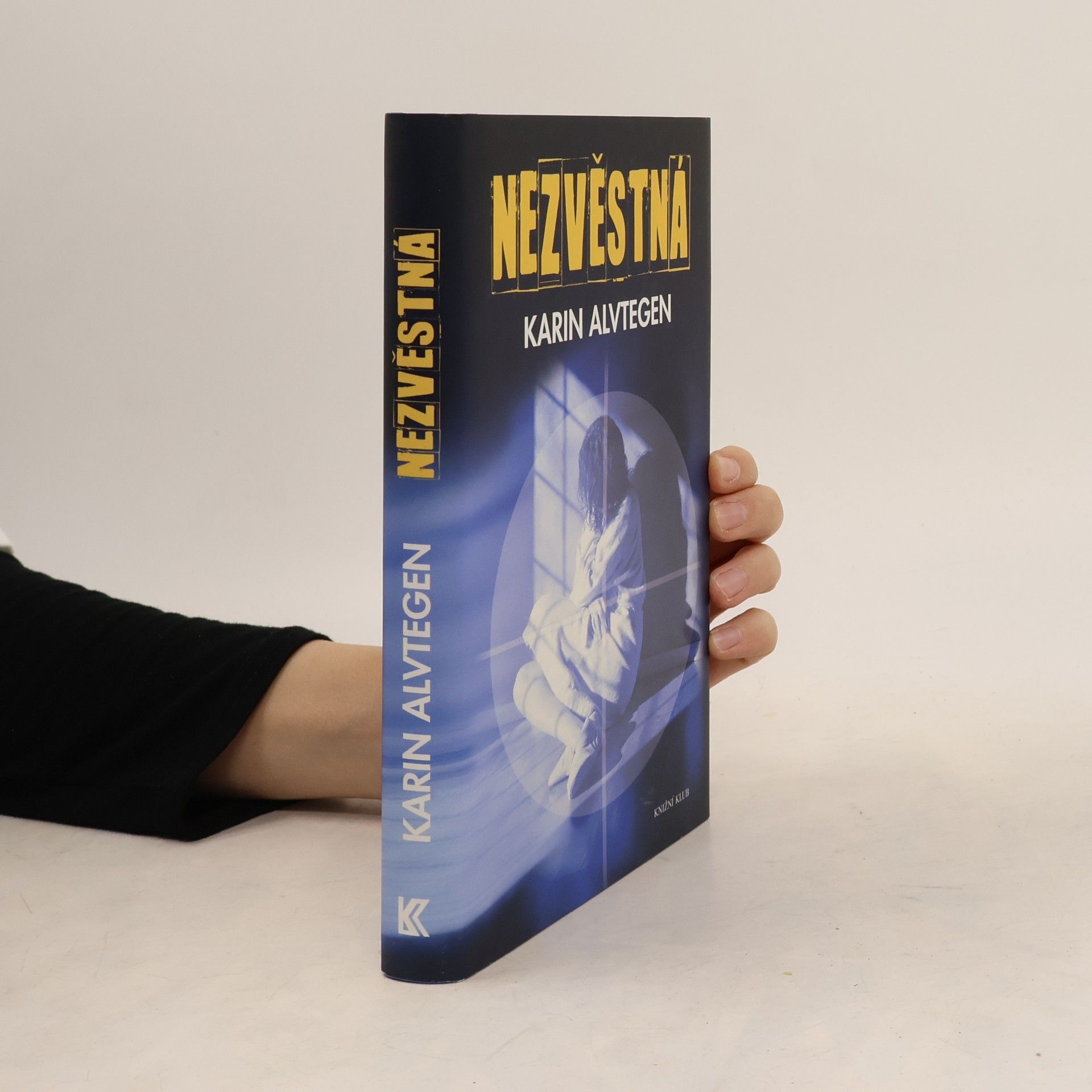 Karin Alvtegen Nezvěstná