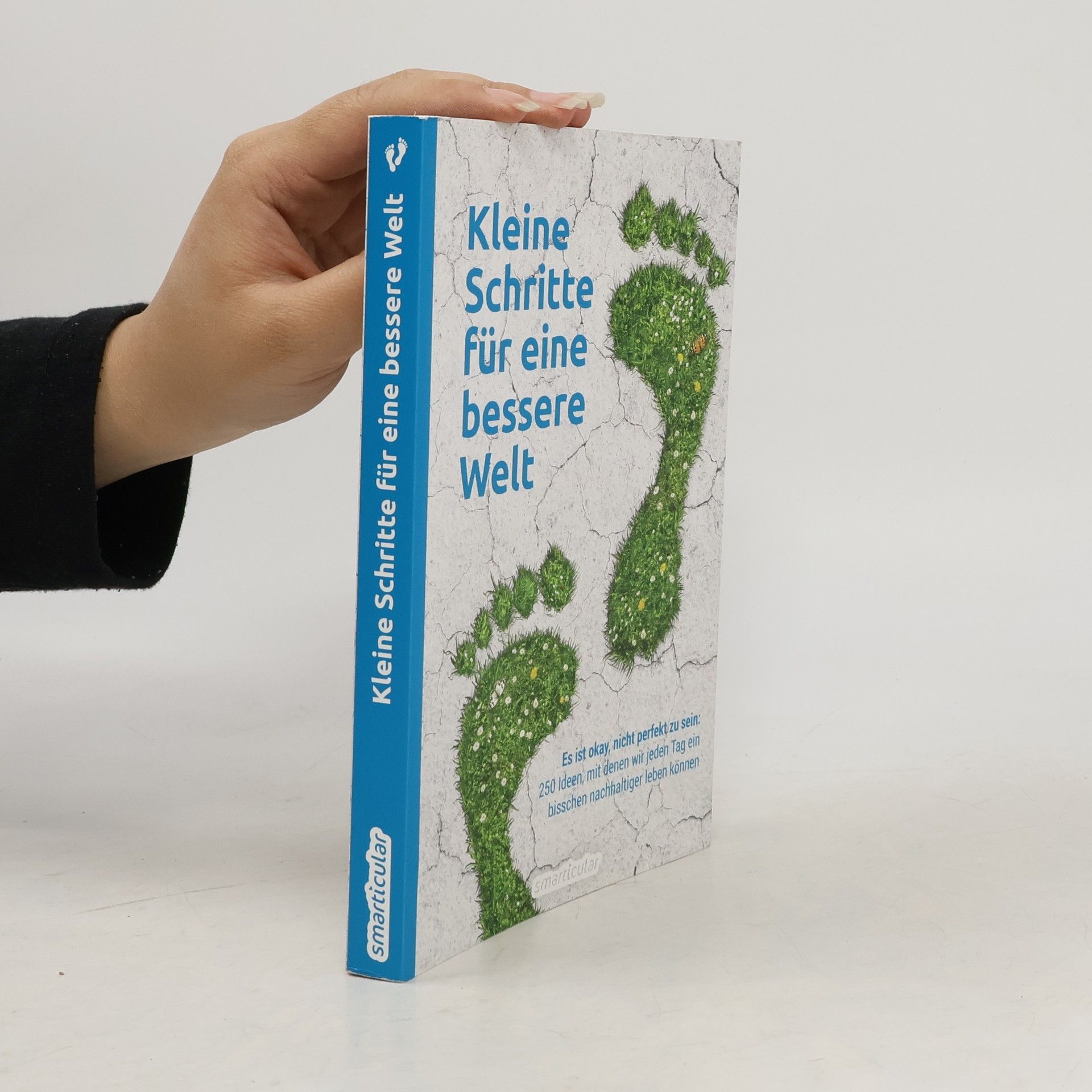 Autorenkollektiv Kleine Schritte für eine bessere Welt