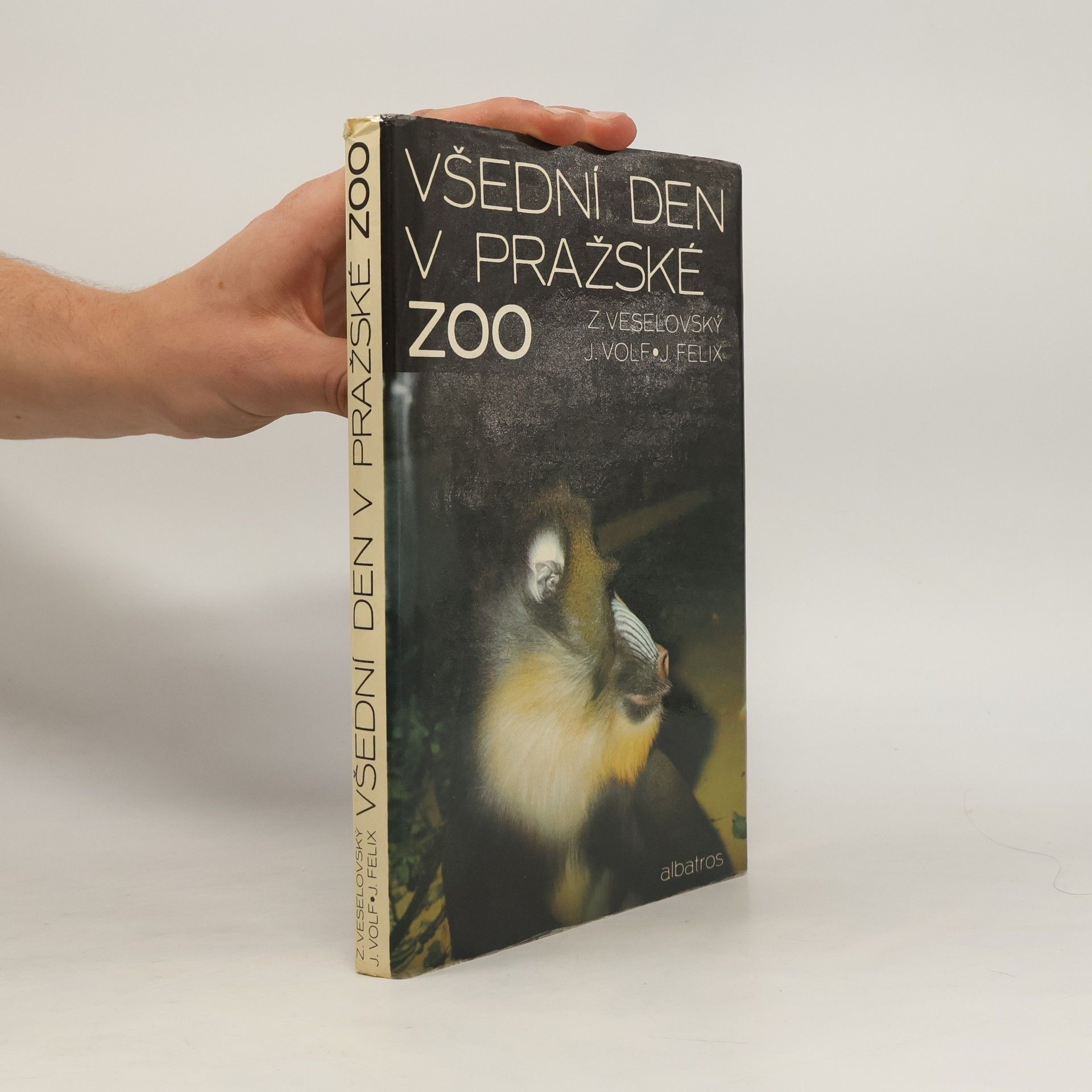 Všední den v pražské ZOO
