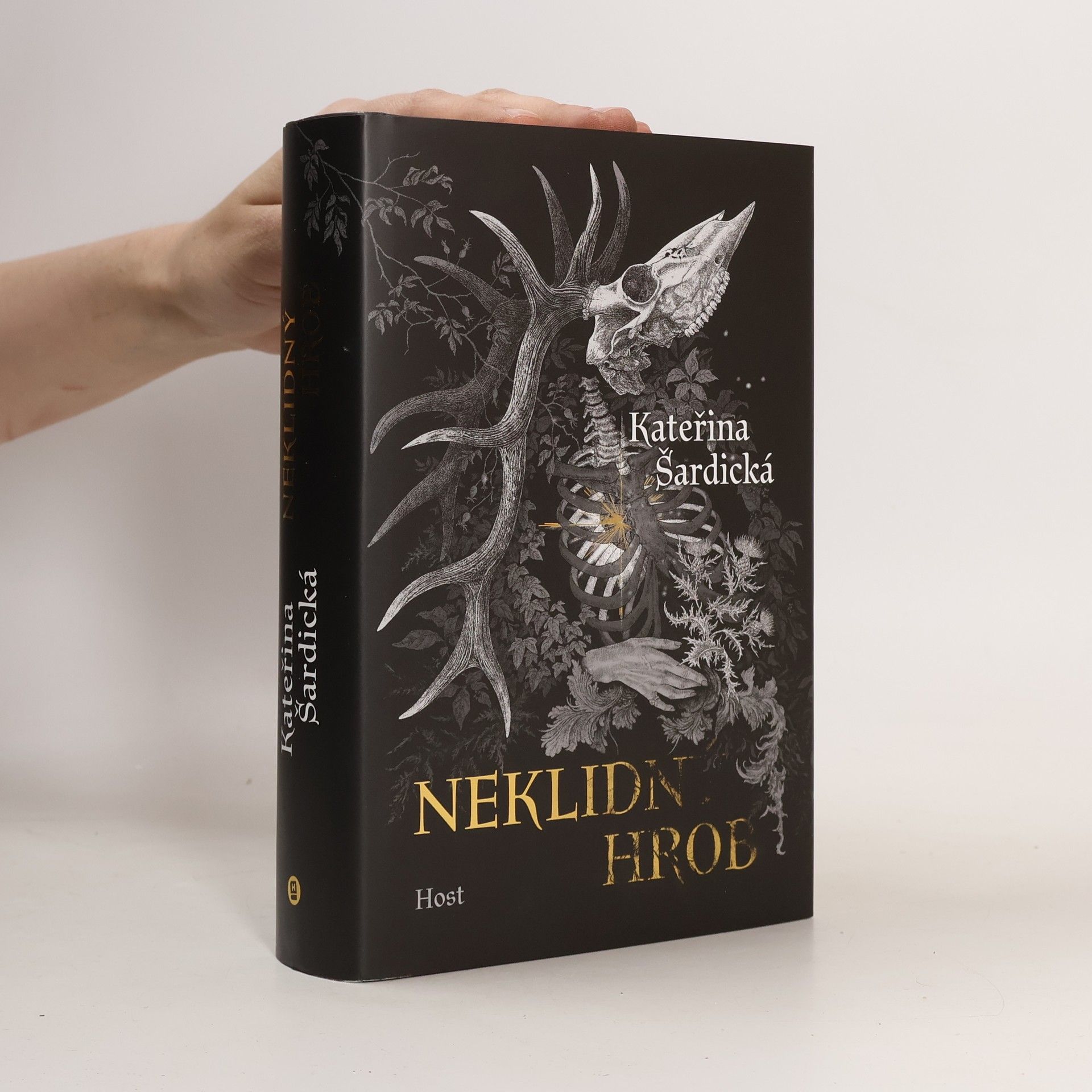 Kateřina Šardická Neklidný hrob