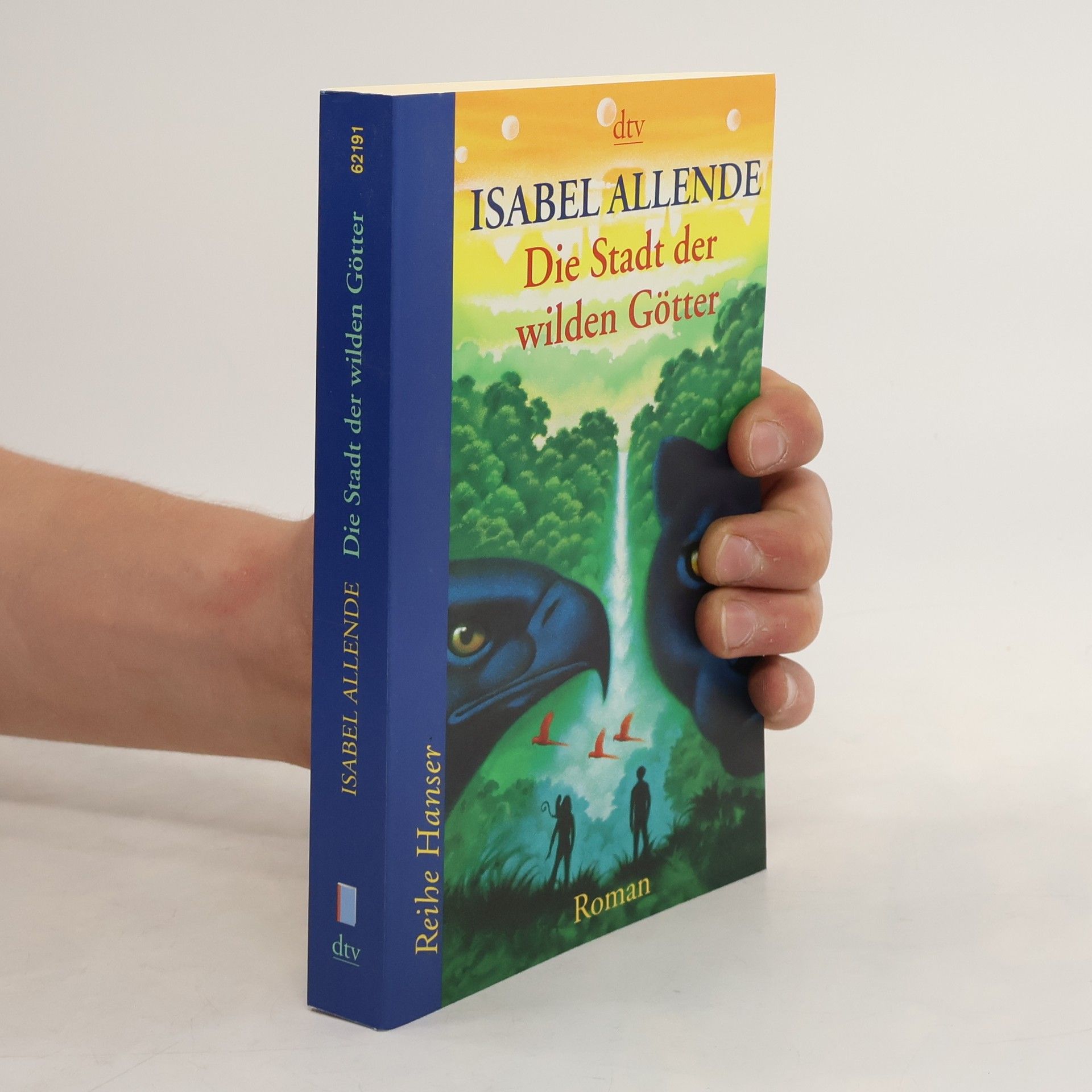 Isabel Allende Die Stadt der wilden Götter