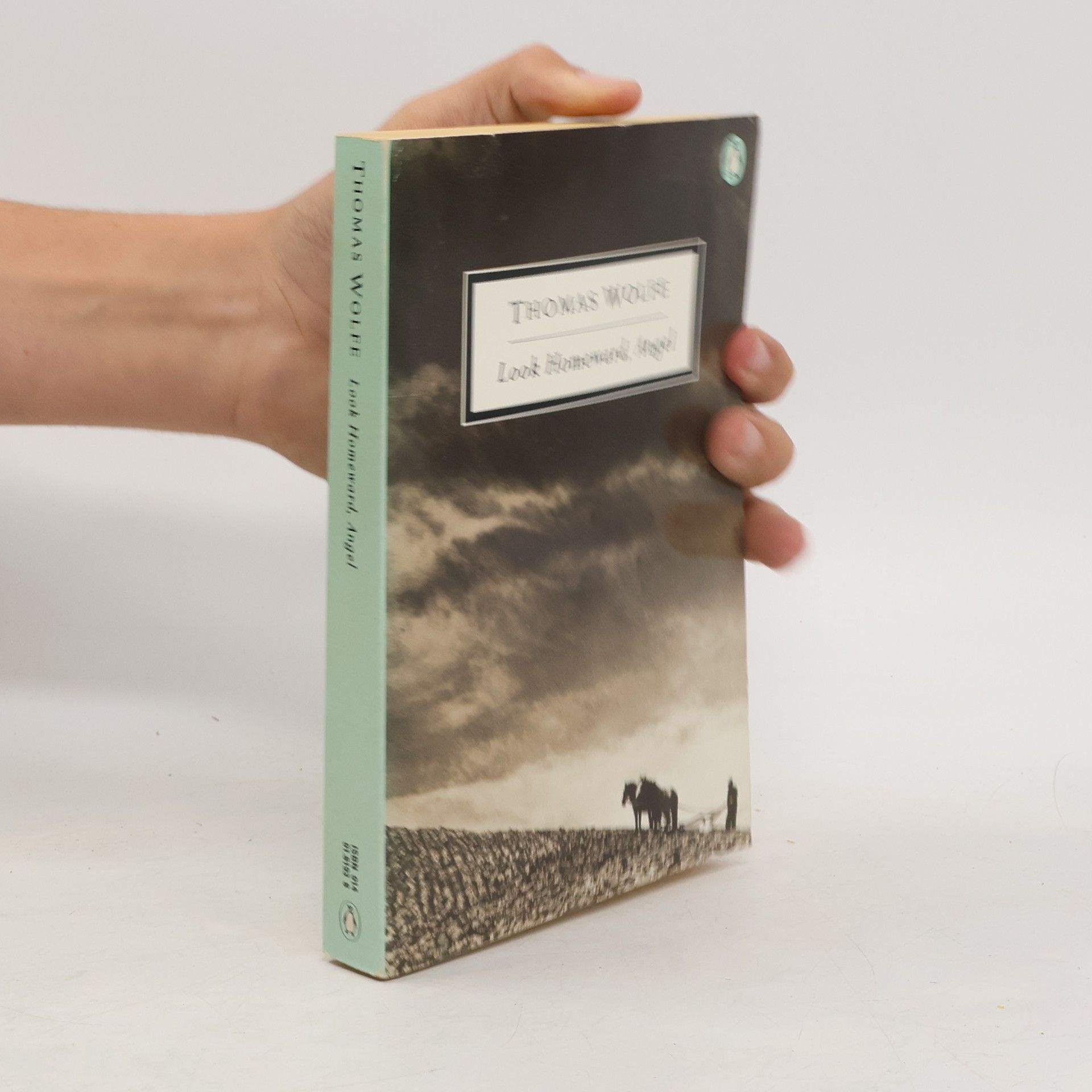 Thomas Wolfe Twentieth Century Classics: Look Homeward, Angel