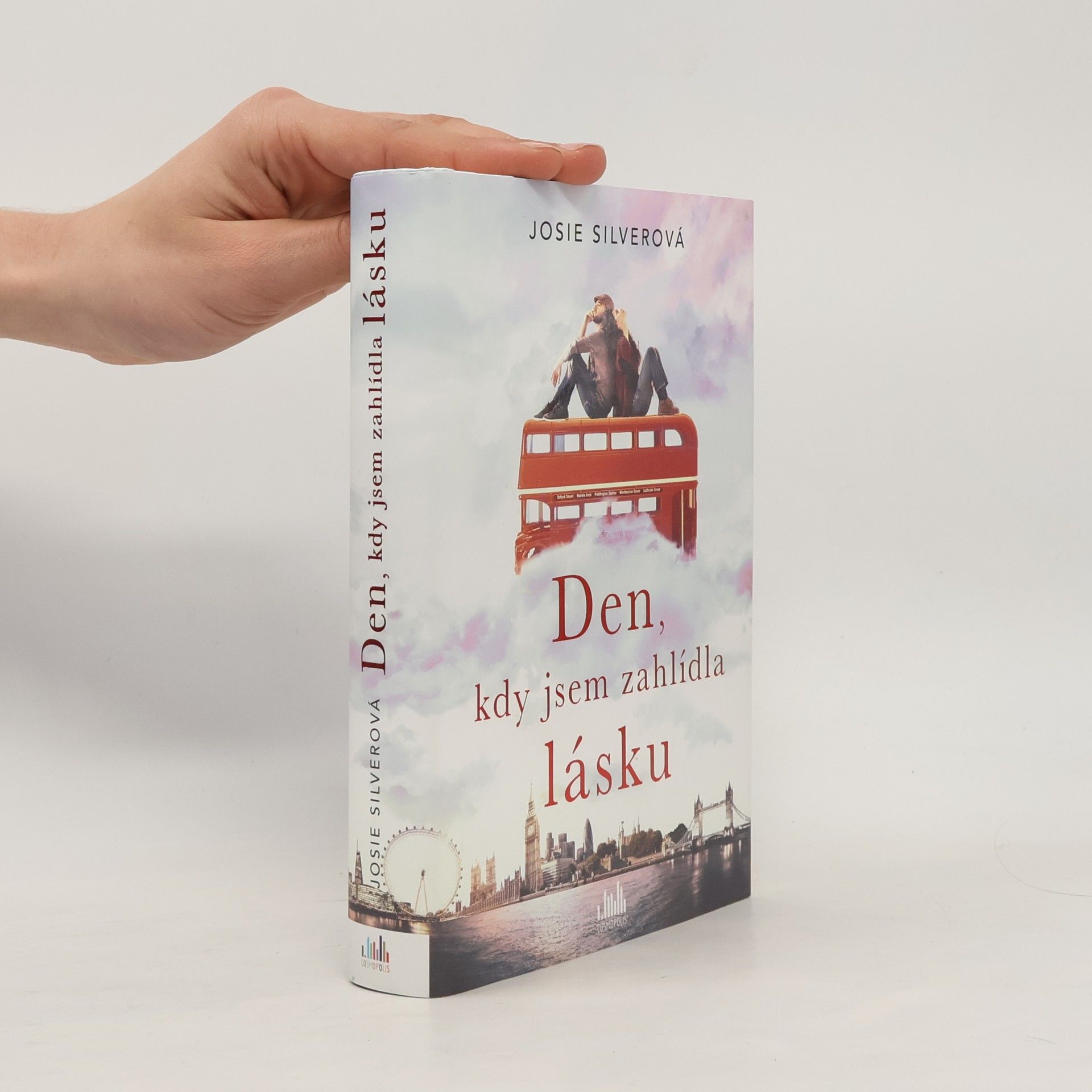 Josie Silver Den, kdy jsem zahlídla lásku