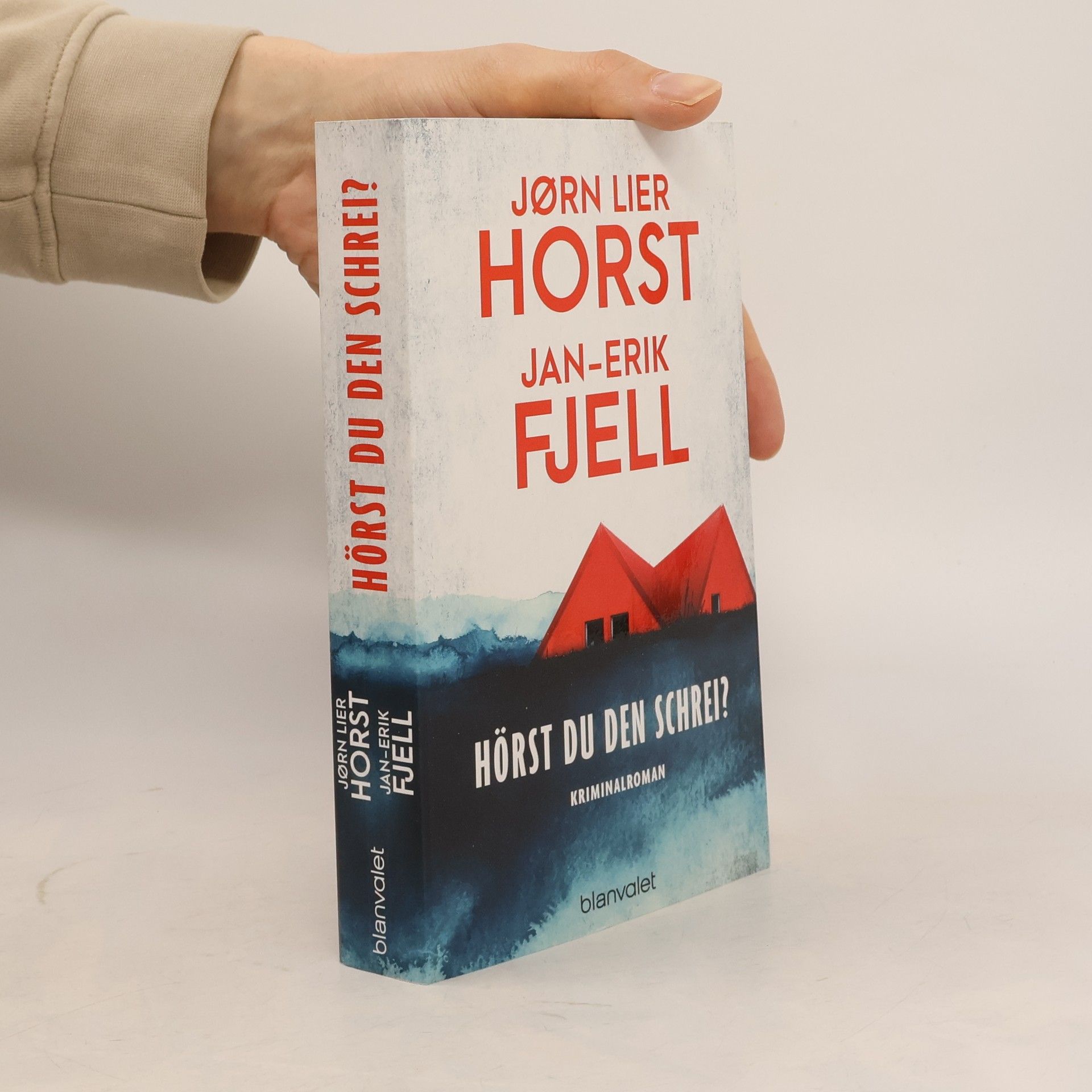 Jan-Erik Fjell Hörst du den Schrei?