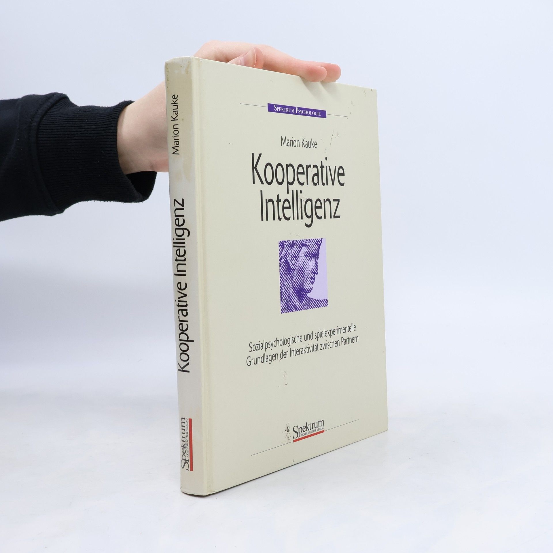 Marion Kauke Kooperative Intelligenz