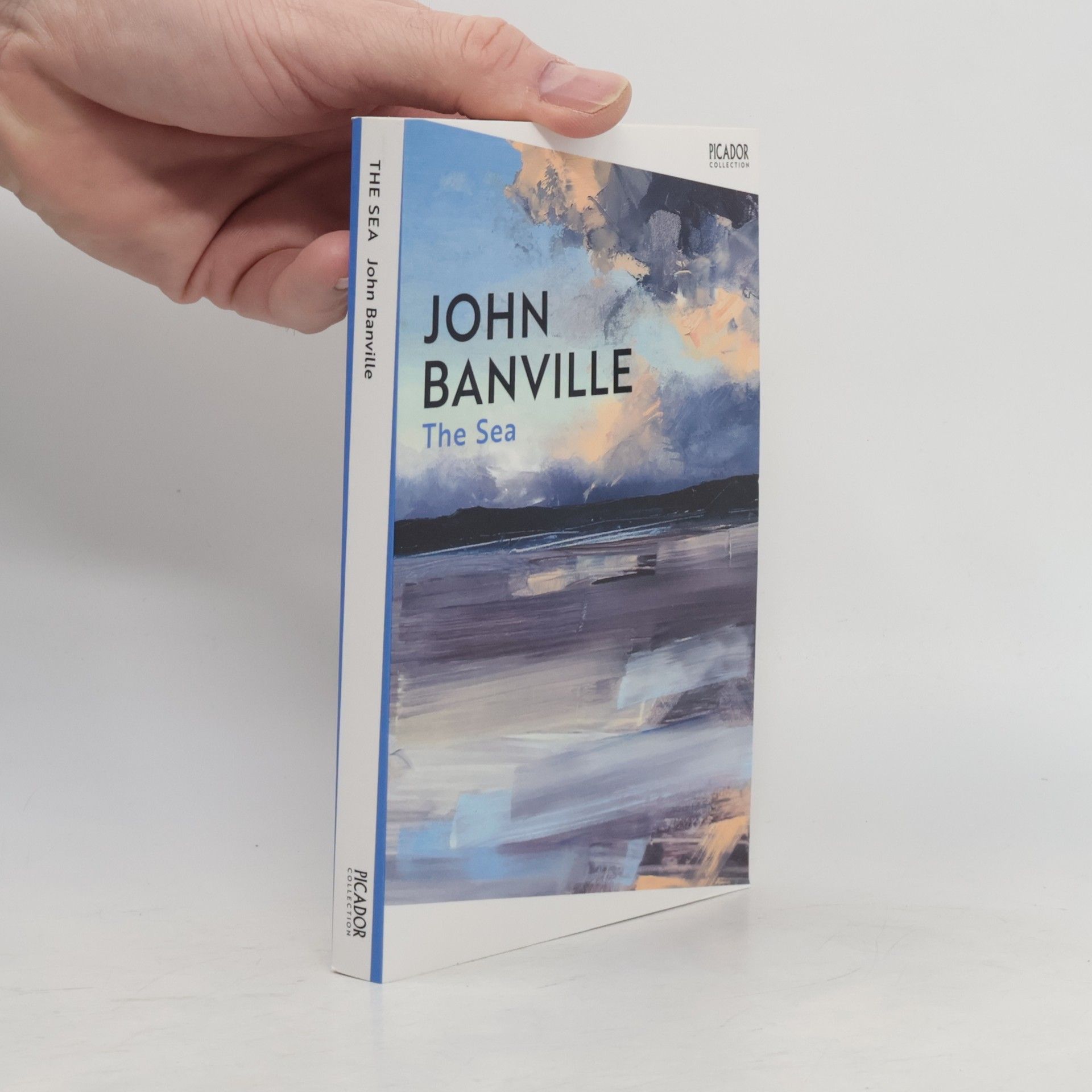 John Banville The Sea