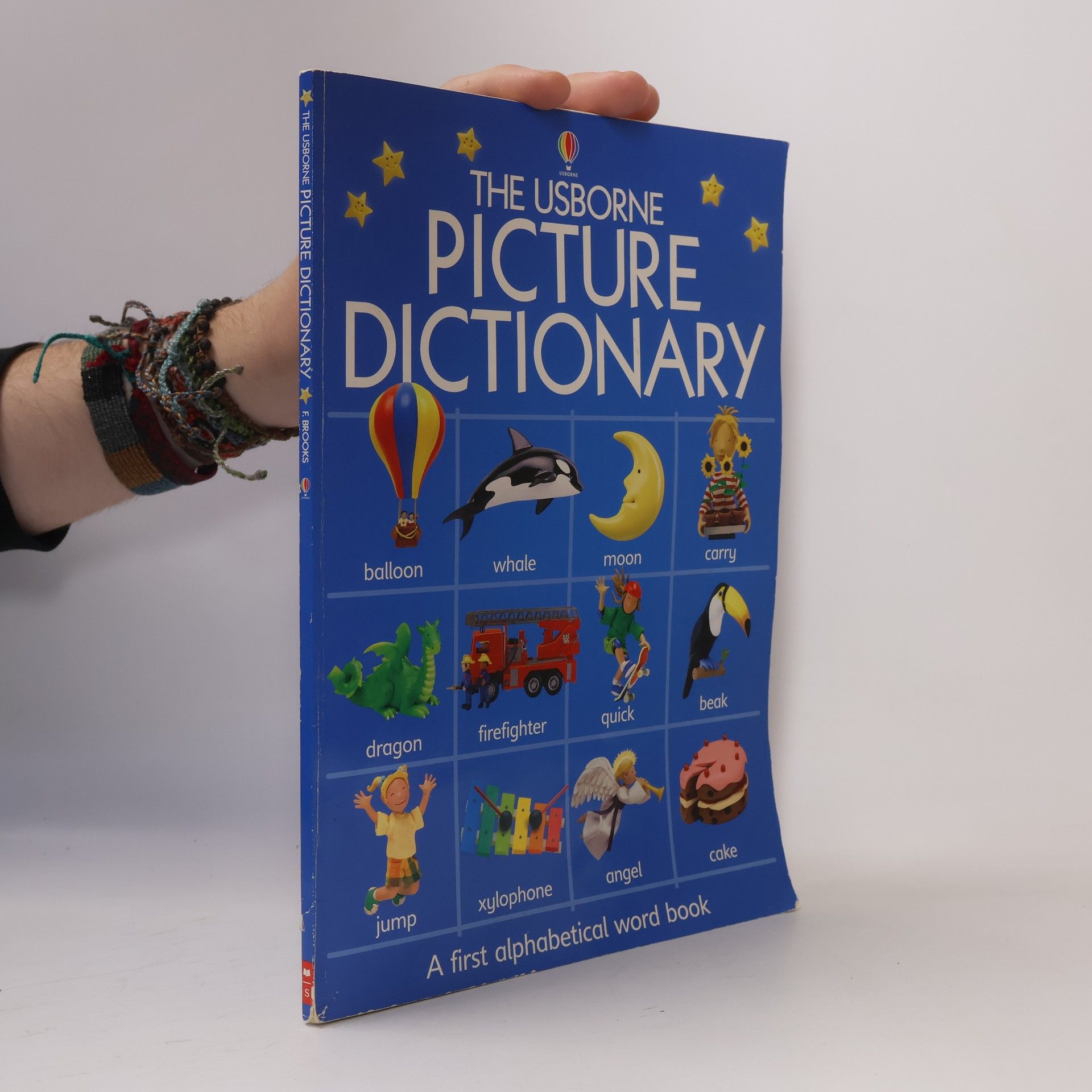 Felicity Brooks The Usborne Picture Dictionary