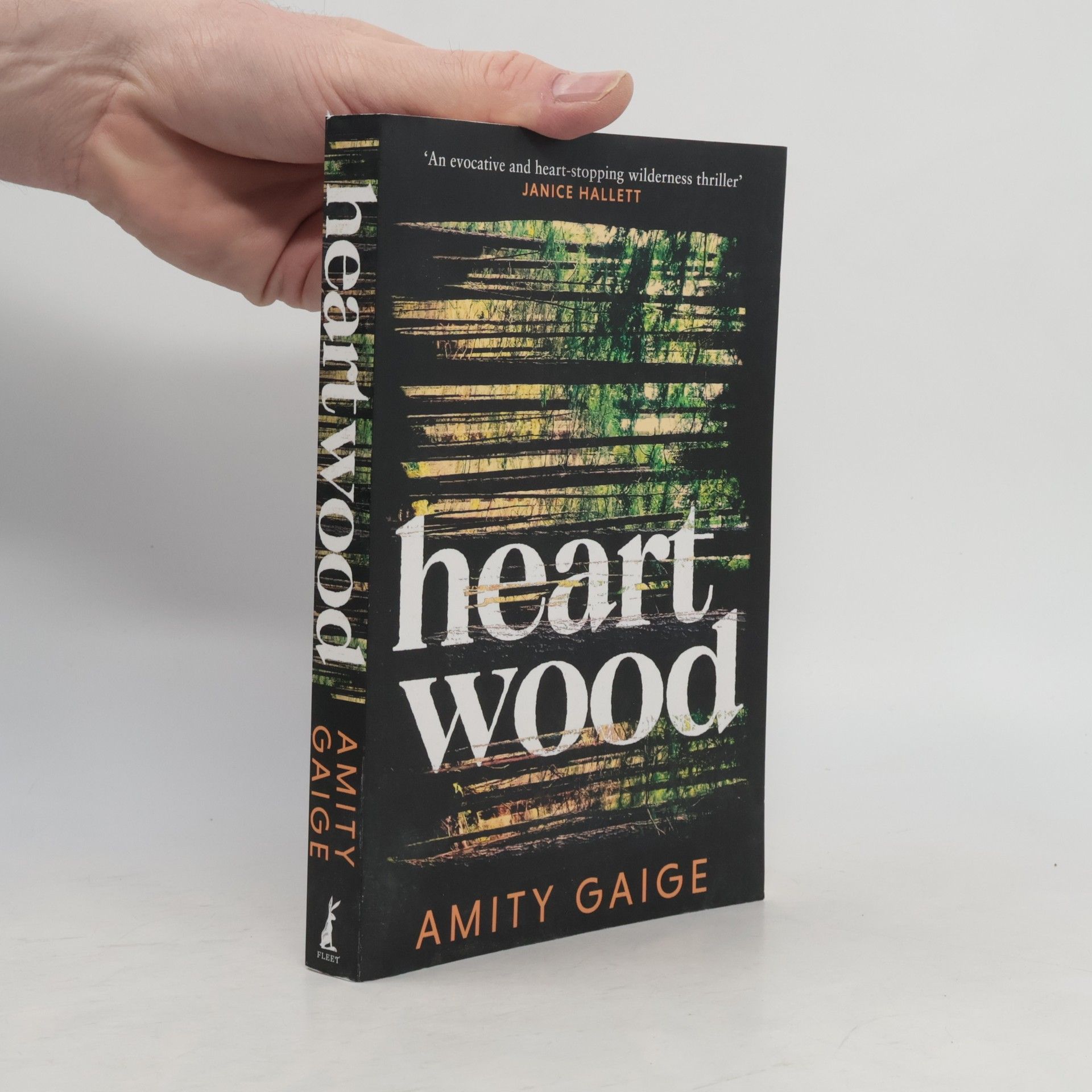 Amity Gaige Heartwood
