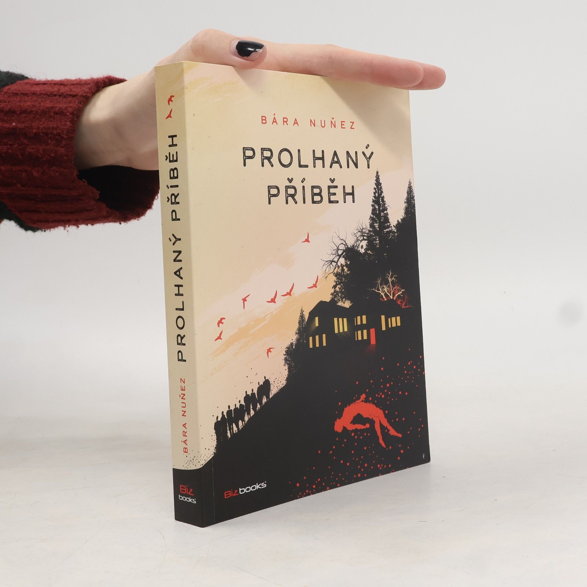 Bára Nuňez Prolhaný příběh