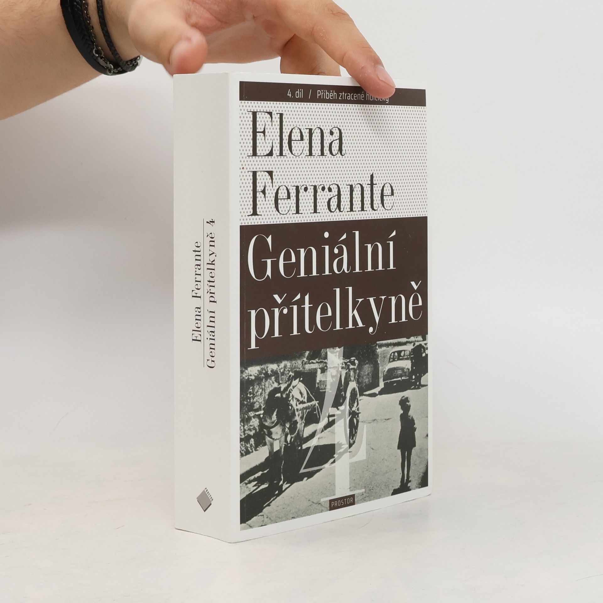 Elena Ferrante Příběh ztracené holčičky. Geniální přítelkyně. 4. díl